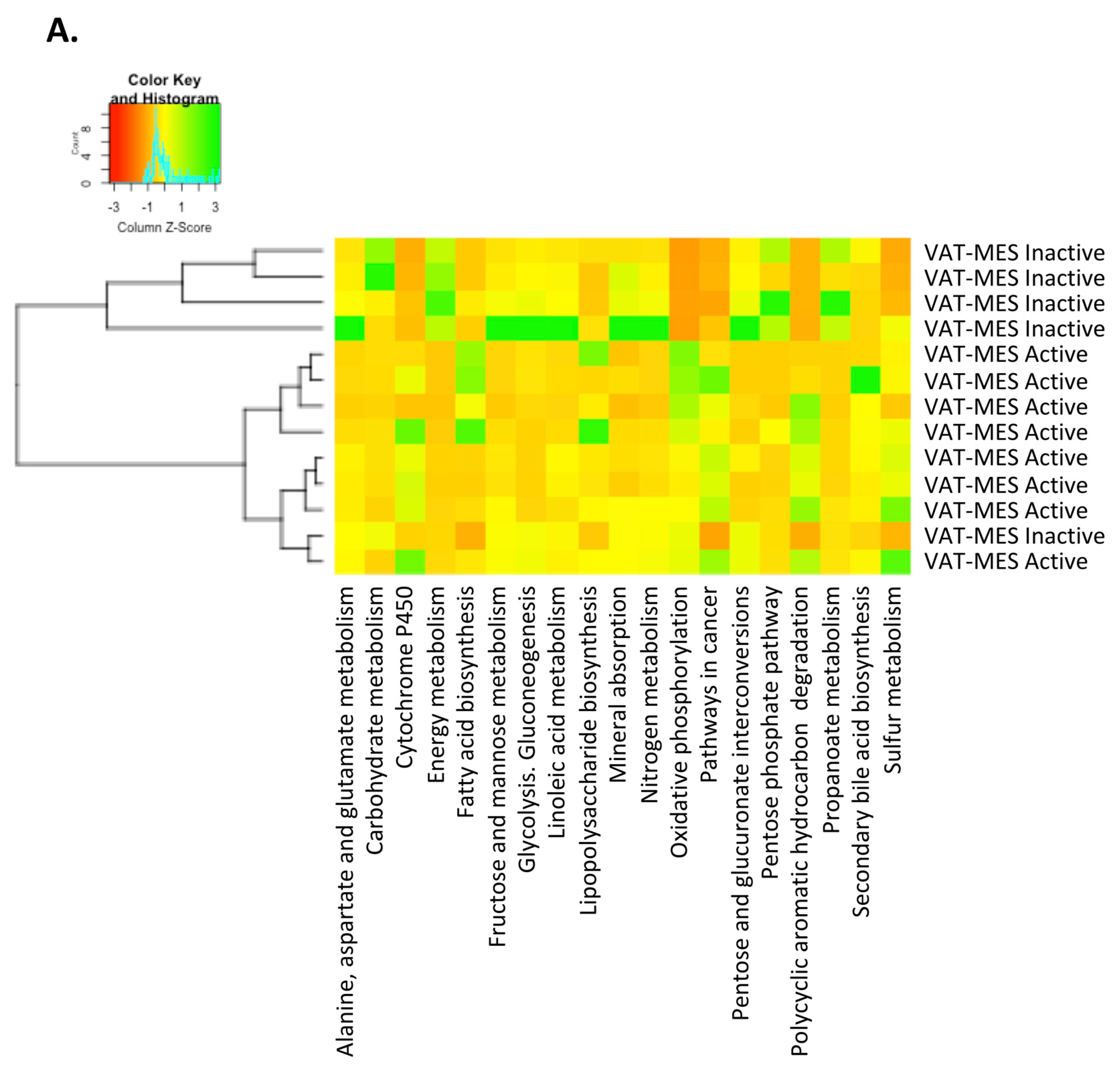 Jcm 09 02448 g003 Jcm 09 02448 g003