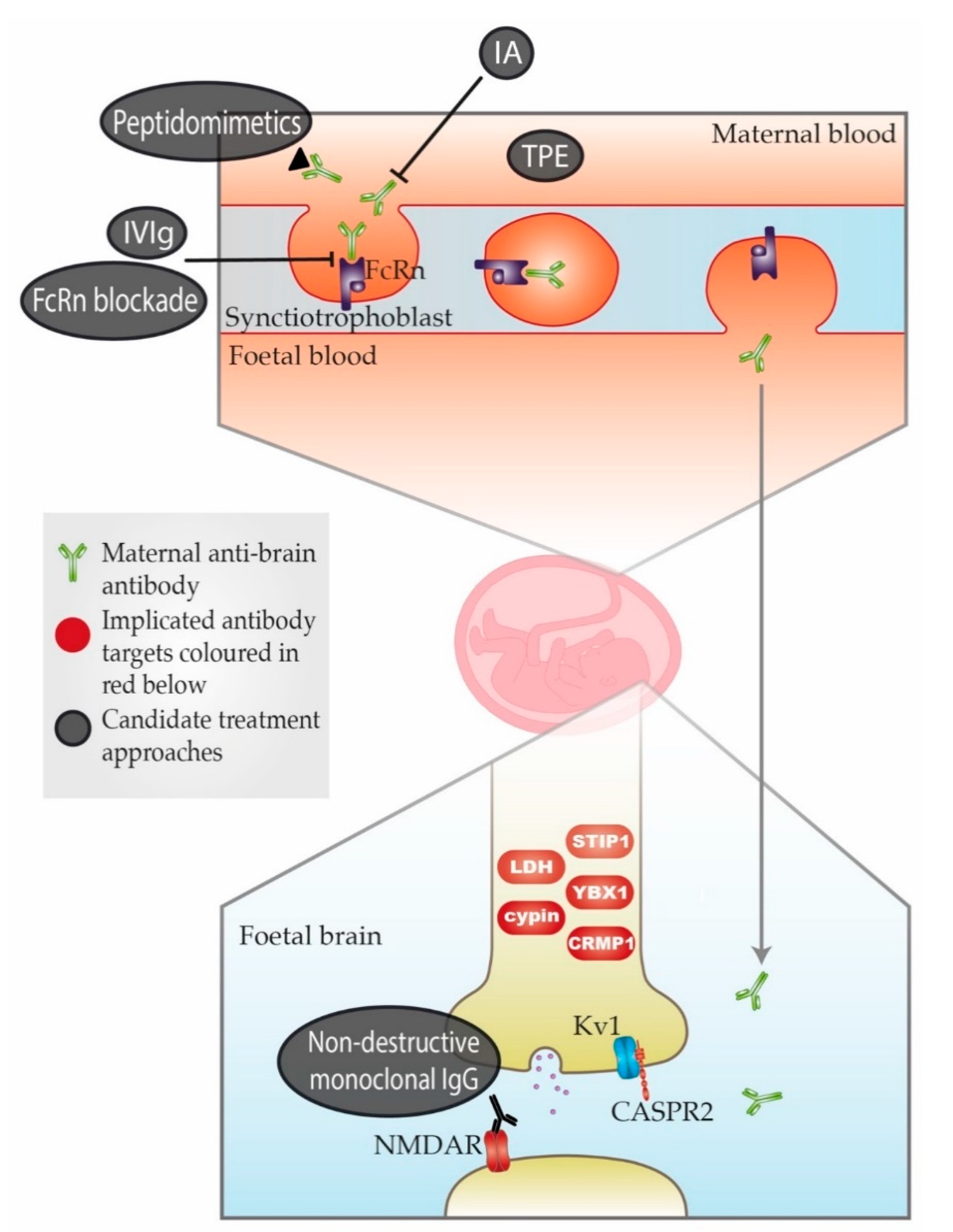 Jcm 09 02564 g001 Jcm 09 02564 g001