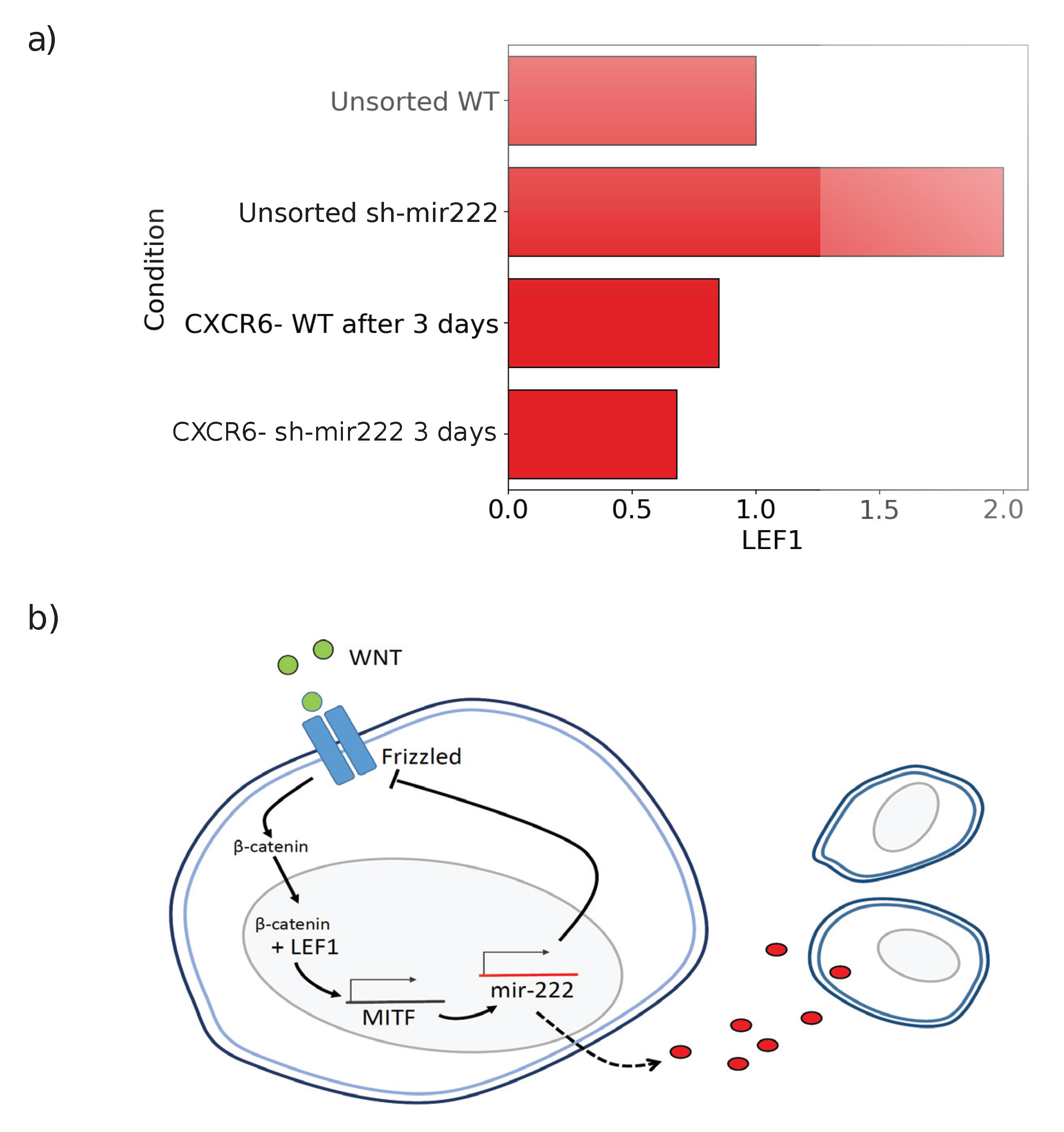 Jcm 09 02573 g004 Jcm 09 02573 g004