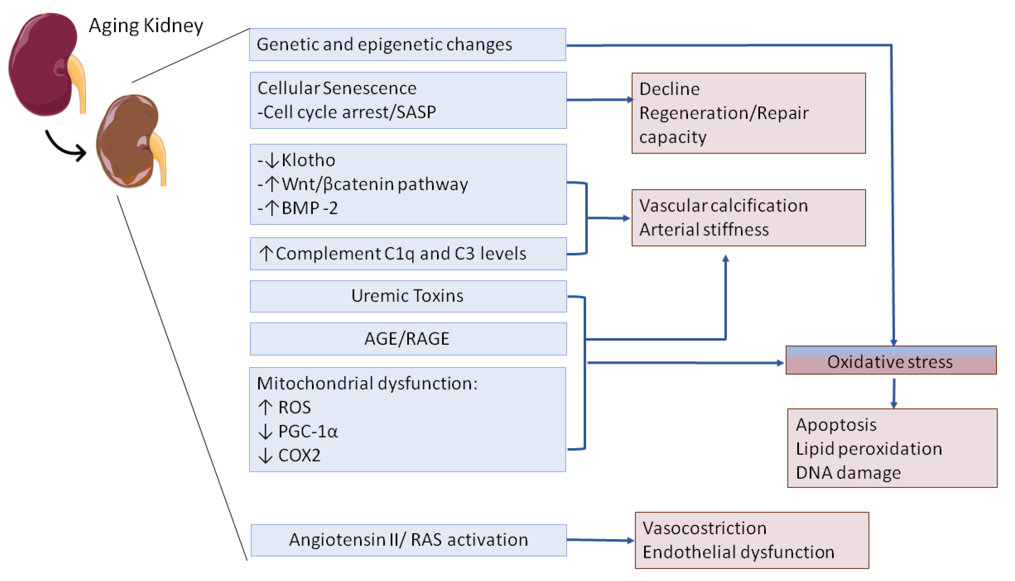 Jcm 09 02574 g002 Jcm 09 02574 g002
