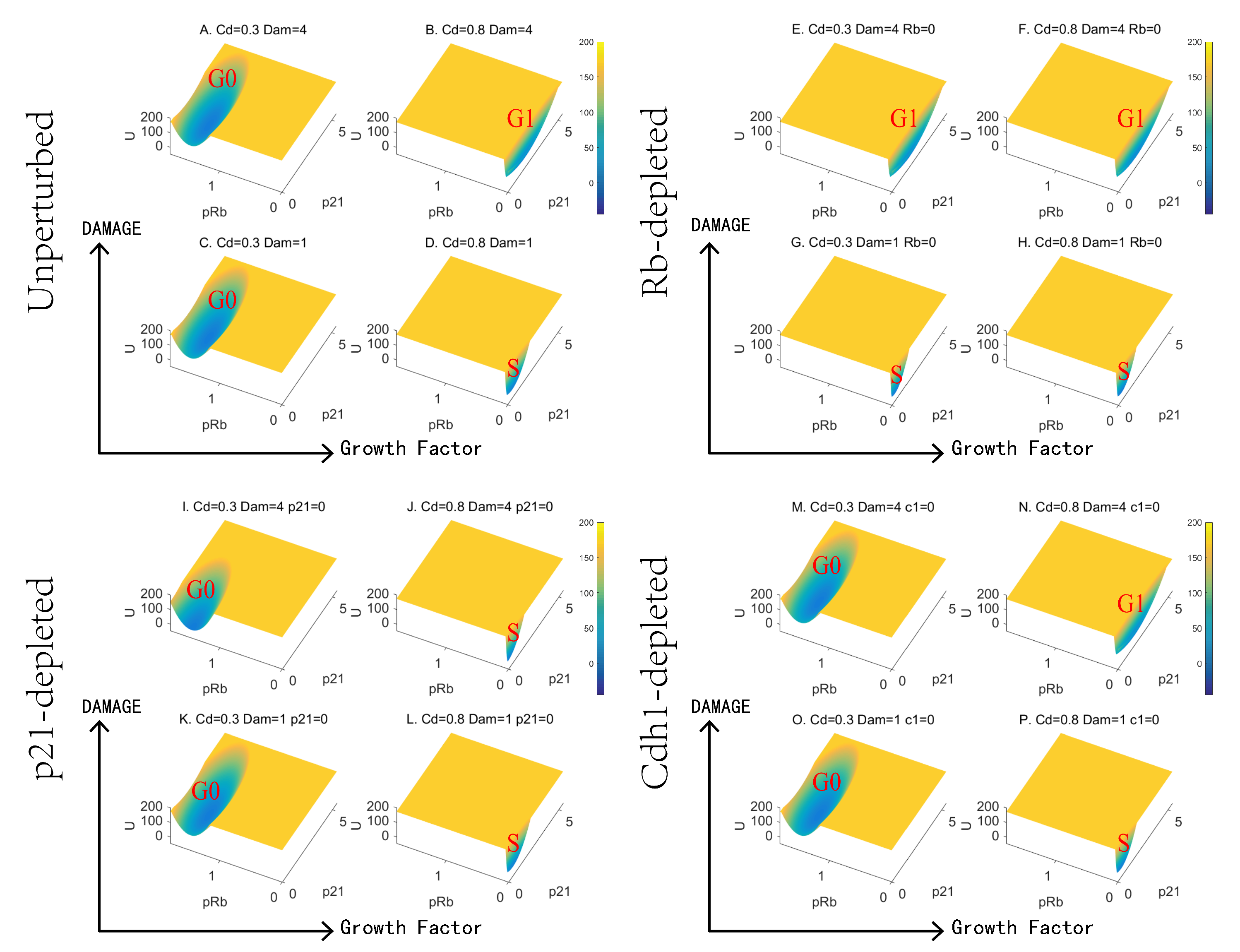 Jcm 09 02582 g004 Jcm 09 02582 g004