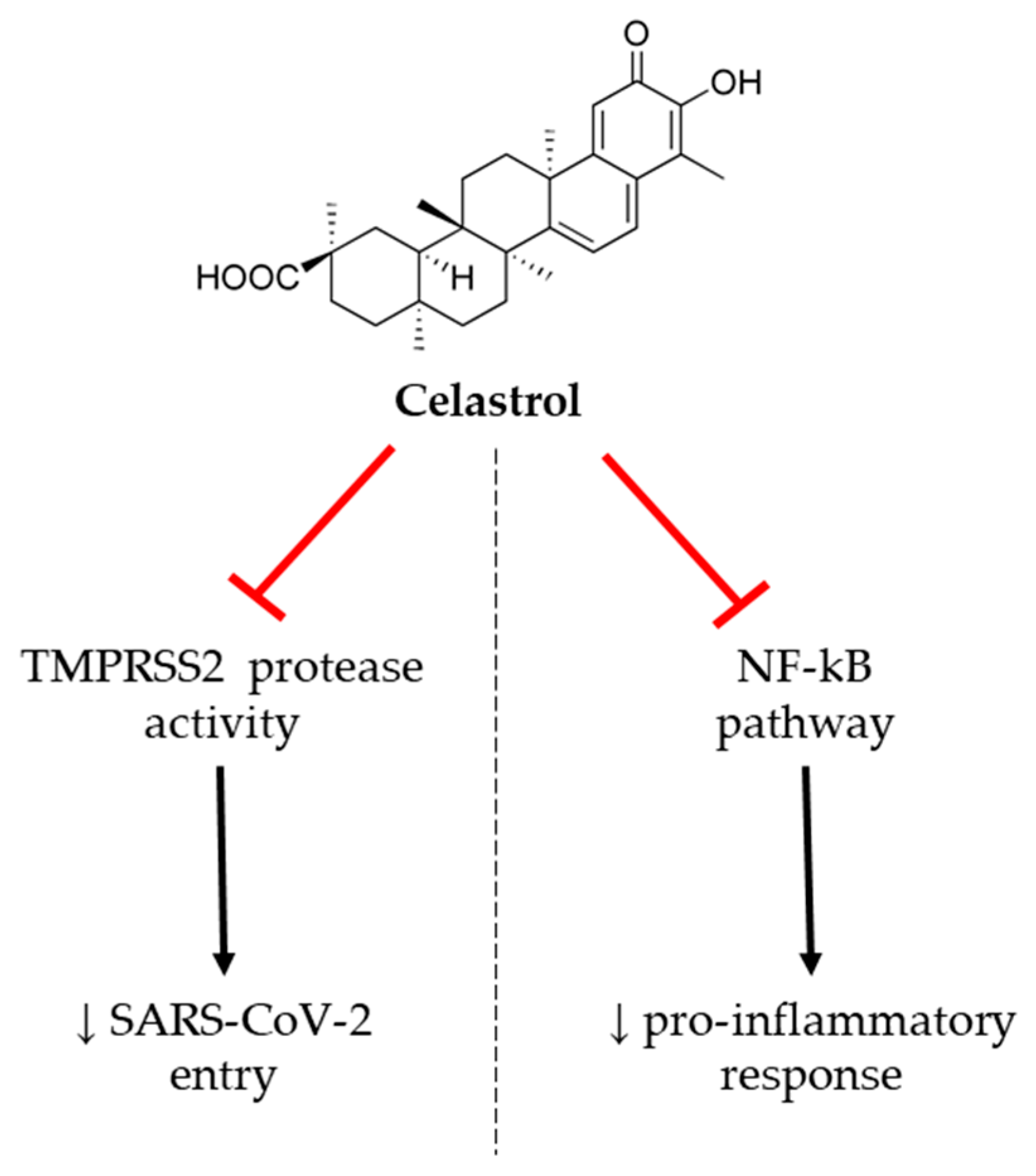 Jcm 09 02589 g004 Jcm 09 02589 g004