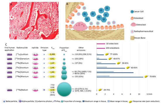 Targeted Palliative Radionuclide Therapy for Metastatic Bone Pain