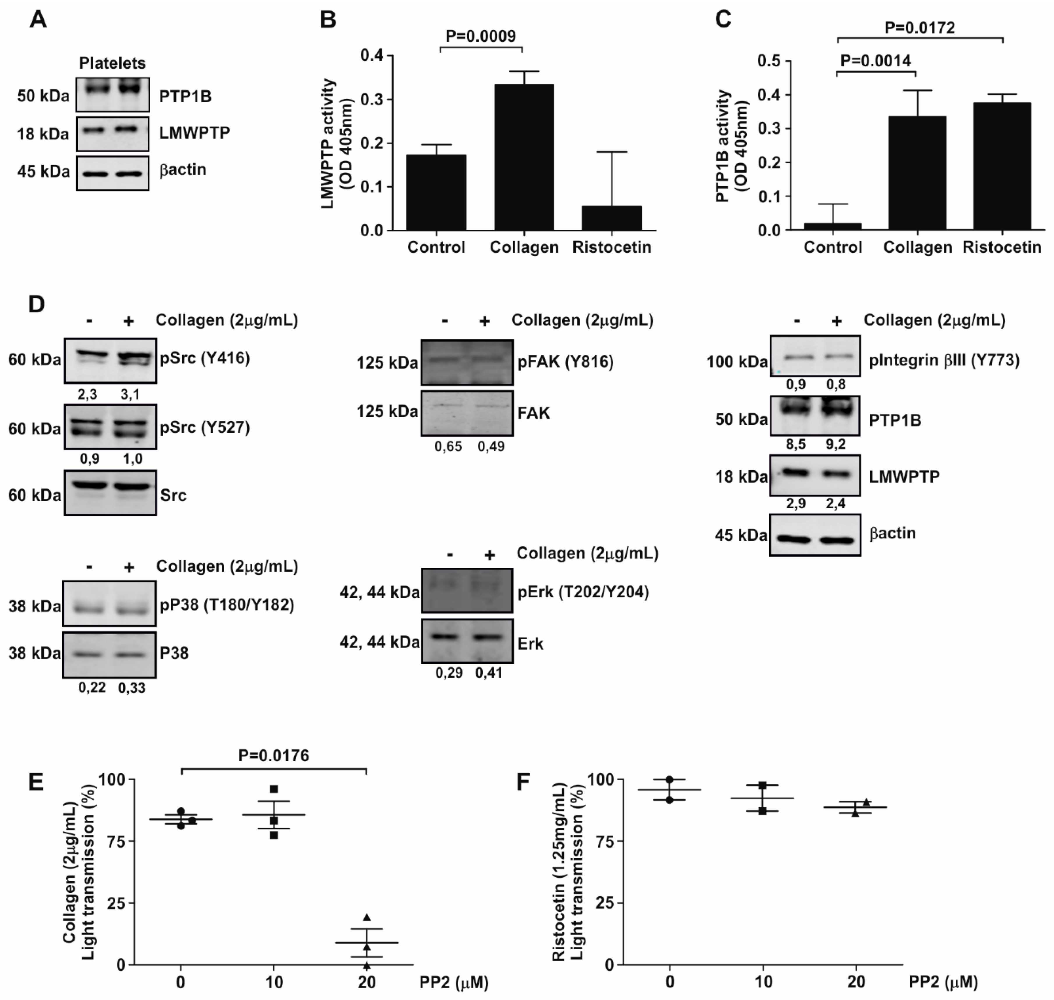 Jcm 09 02625 i001 Jcm 09 02625 i001