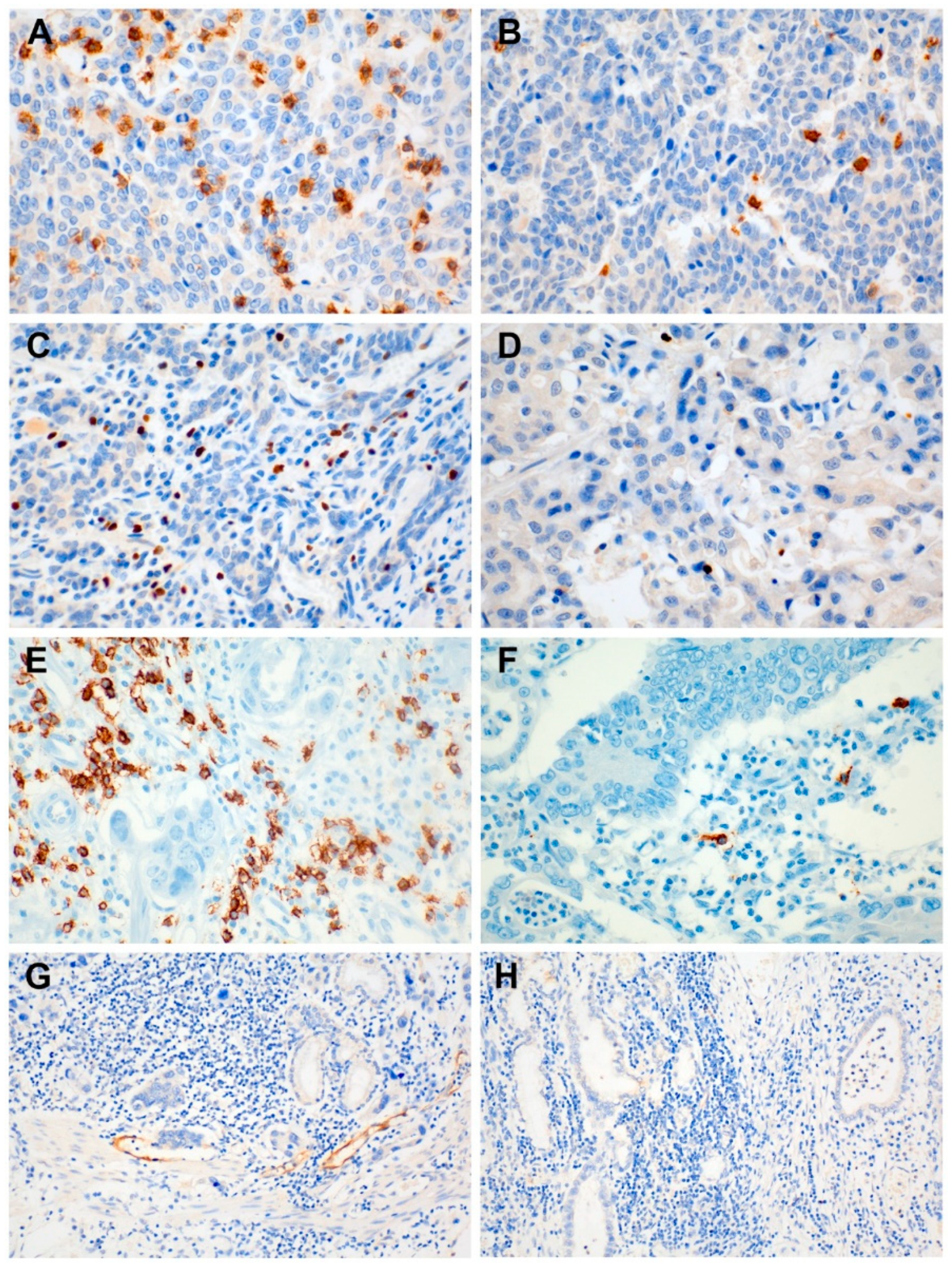 Jcm 09 02628 g001 Jcm 09 02628 g001