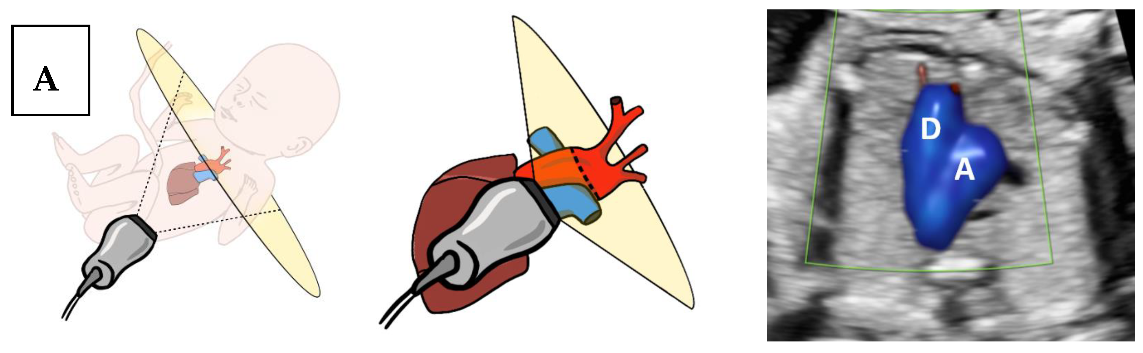 Jcm 09 02658 g001a Jcm 09 02658 g001a