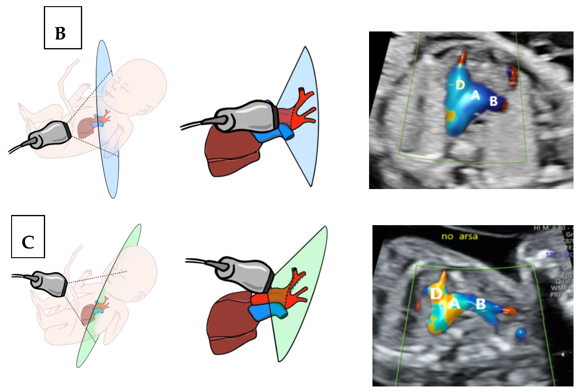 Jcm 09 02658 g001b Jcm 09 02658 g001b