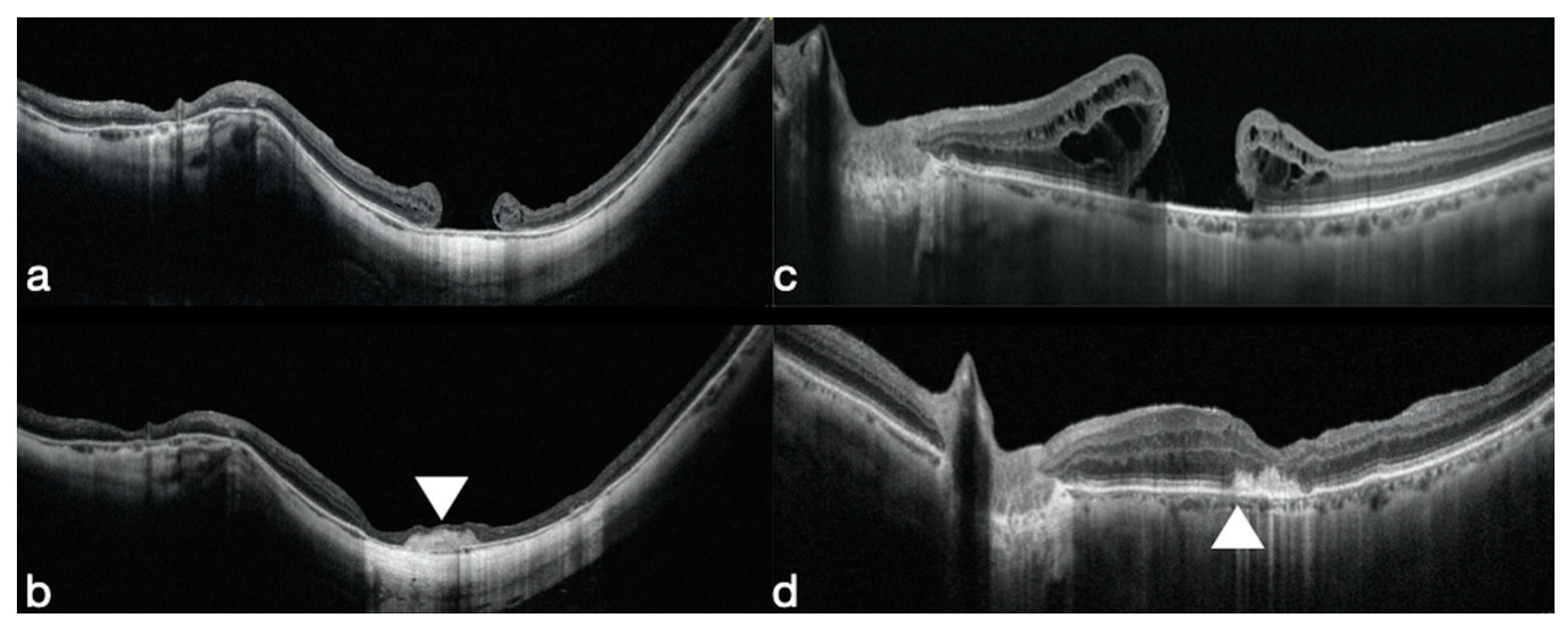 Jcm 09 02675 g001 Jcm 09 02675 g001