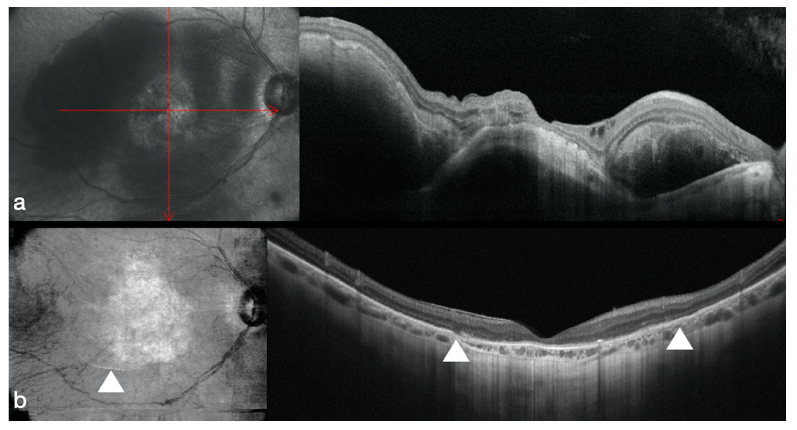Jcm 09 02675 g003 Jcm 09 02675 g003