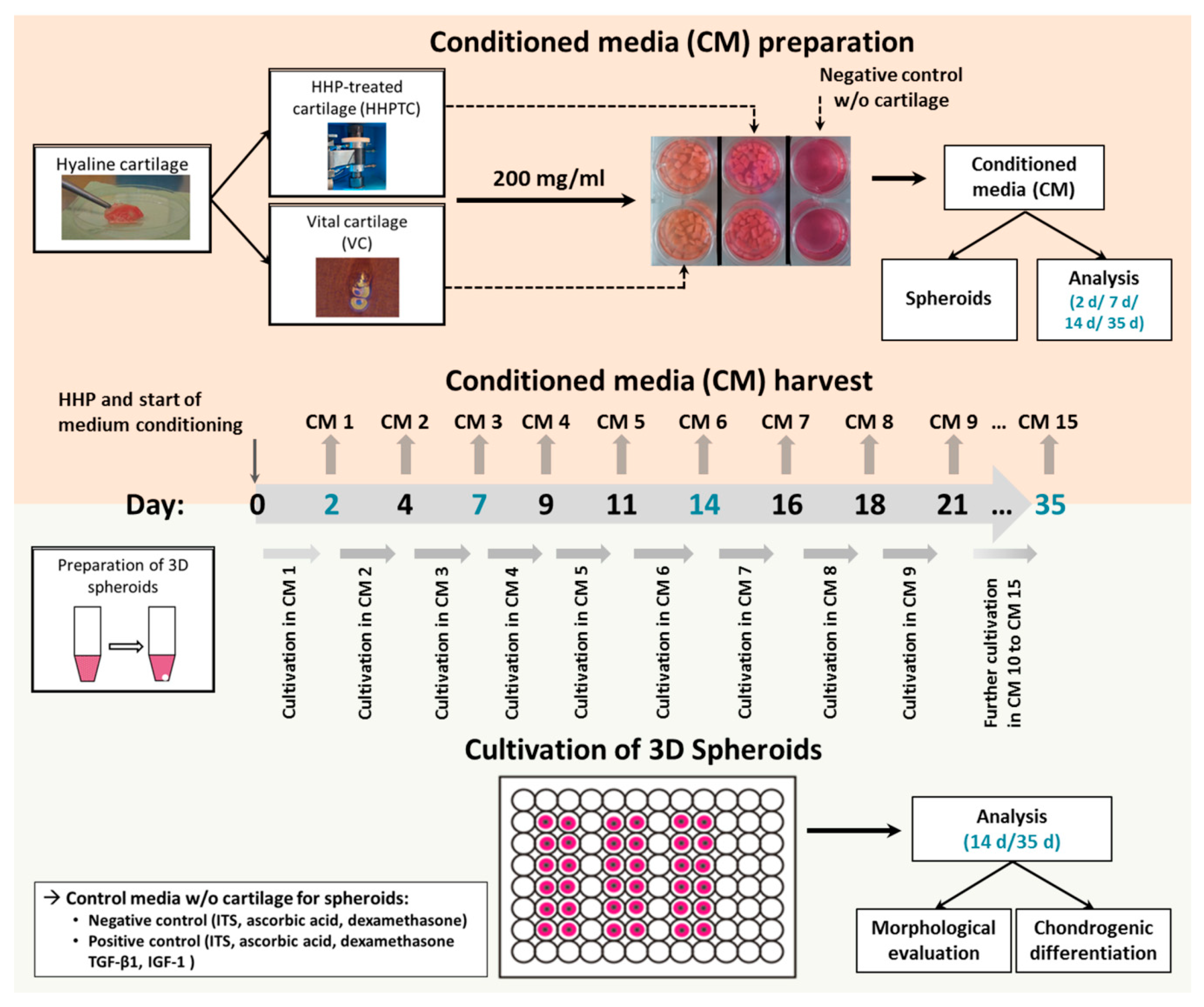 Jcm 09 02798 g002 Jcm 09 02798 g002