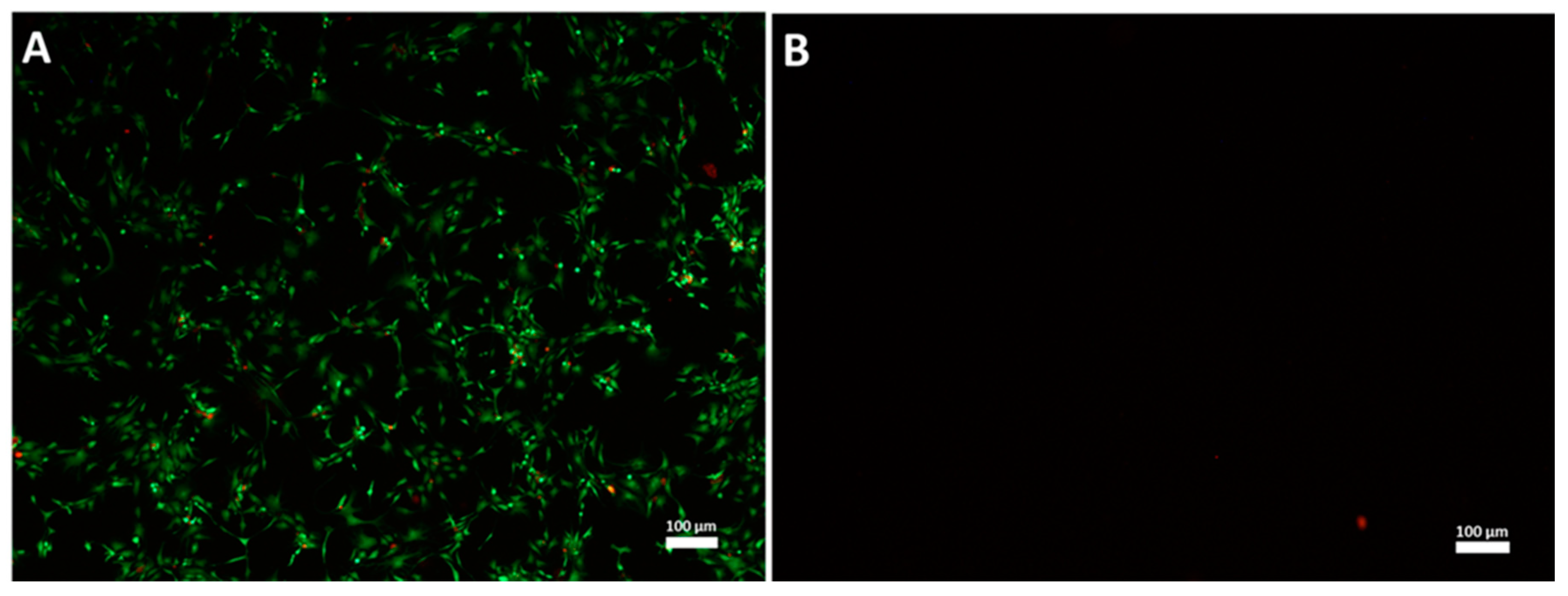 Jcm 09 02798 g003 Jcm 09 02798 g003