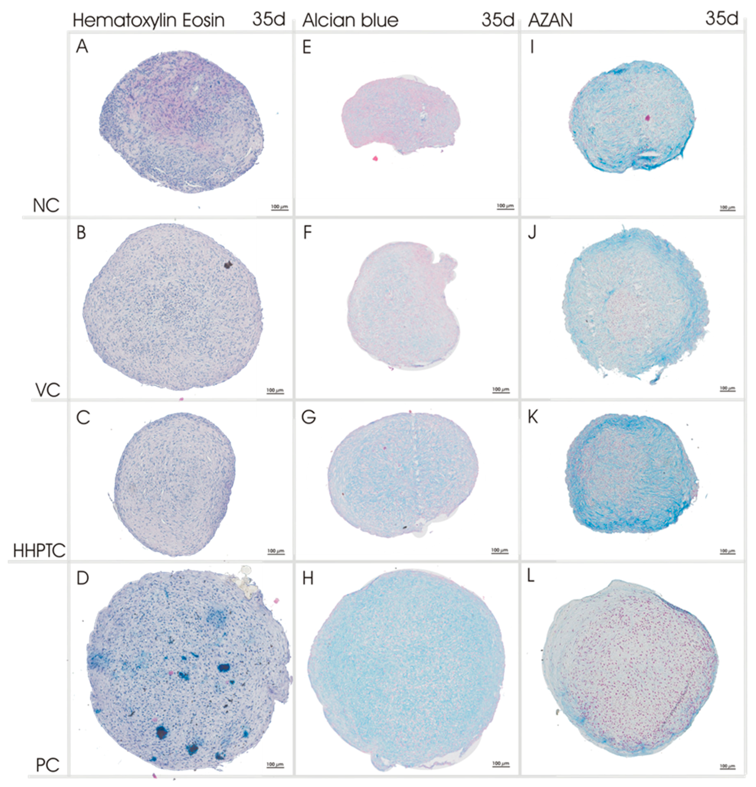 Jcm 09 02798 g006 Jcm 09 02798 g006