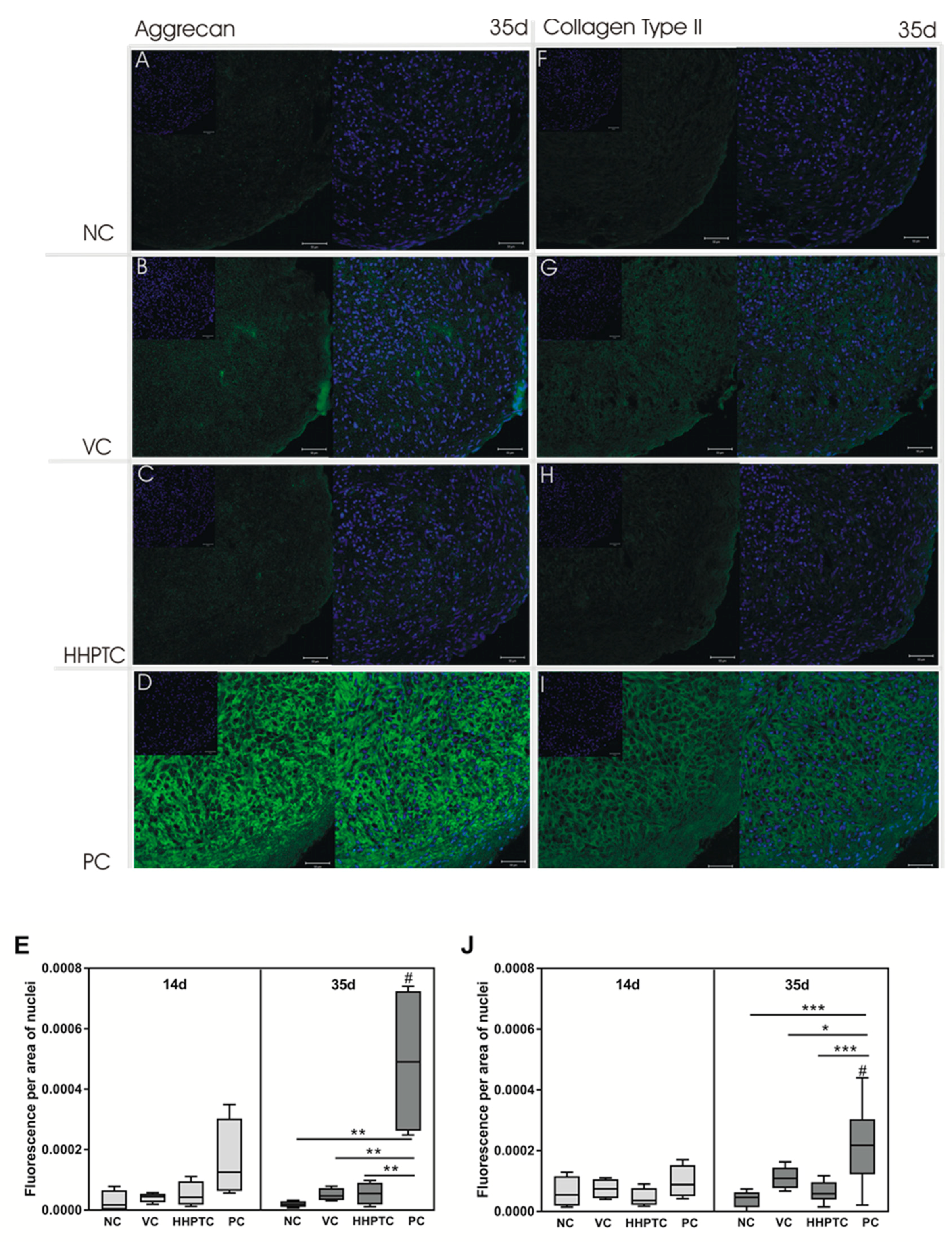 Jcm 09 02798 g009 Jcm 09 02798 g009