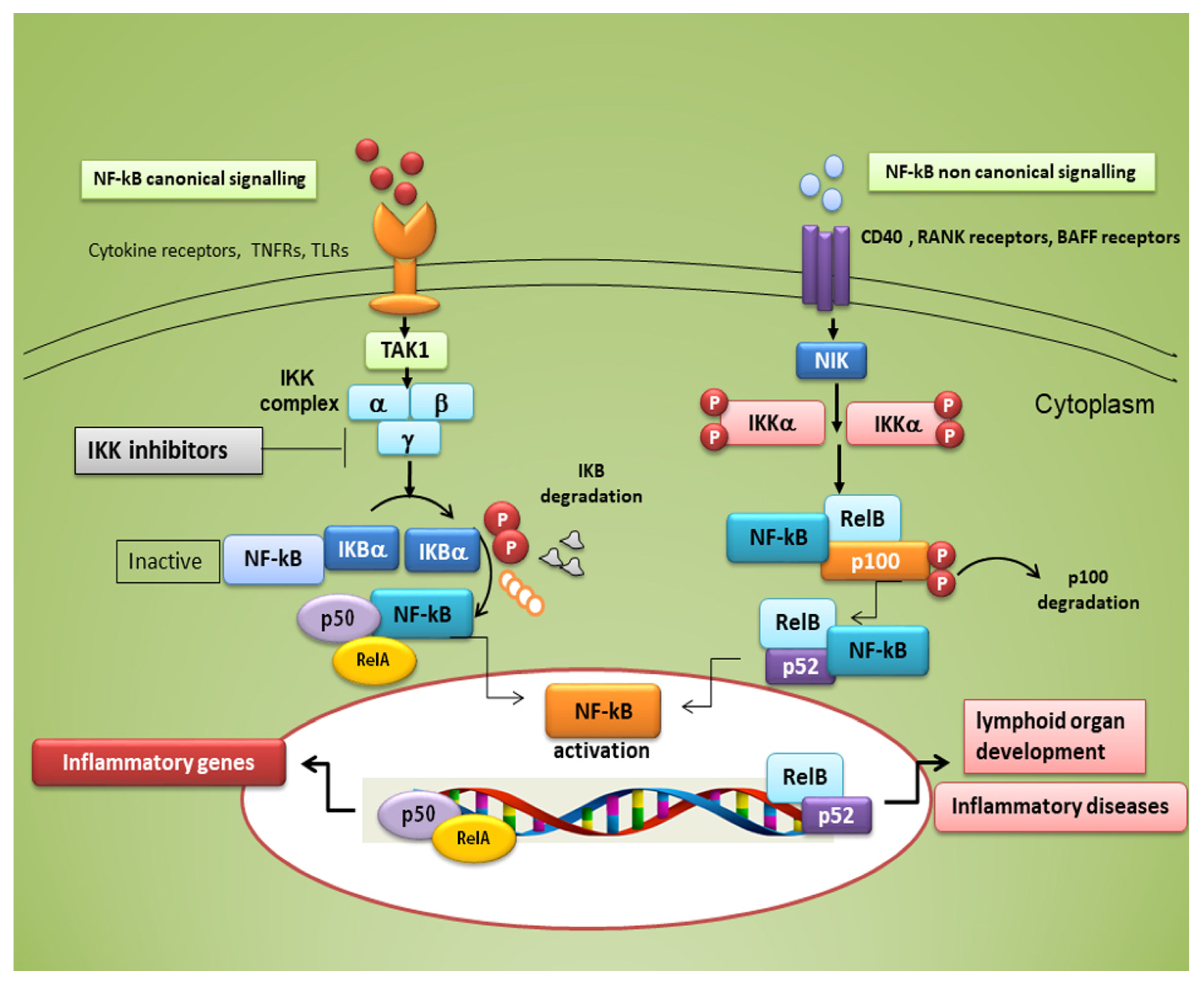 | MDPI