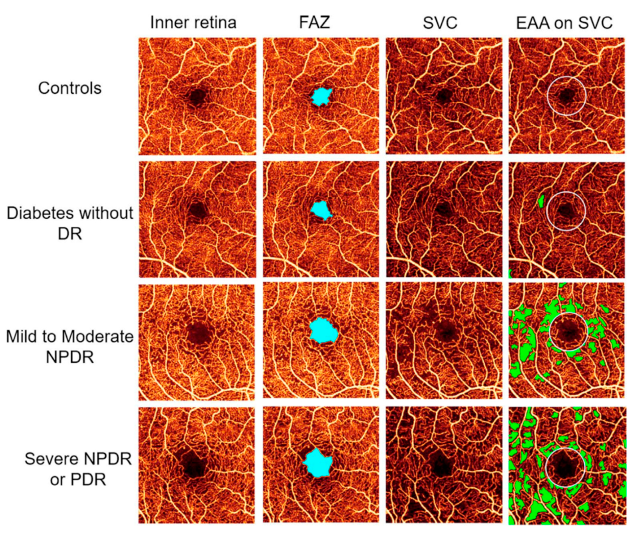 Jcm 09 02829 g002 Jcm 09 02829 g002