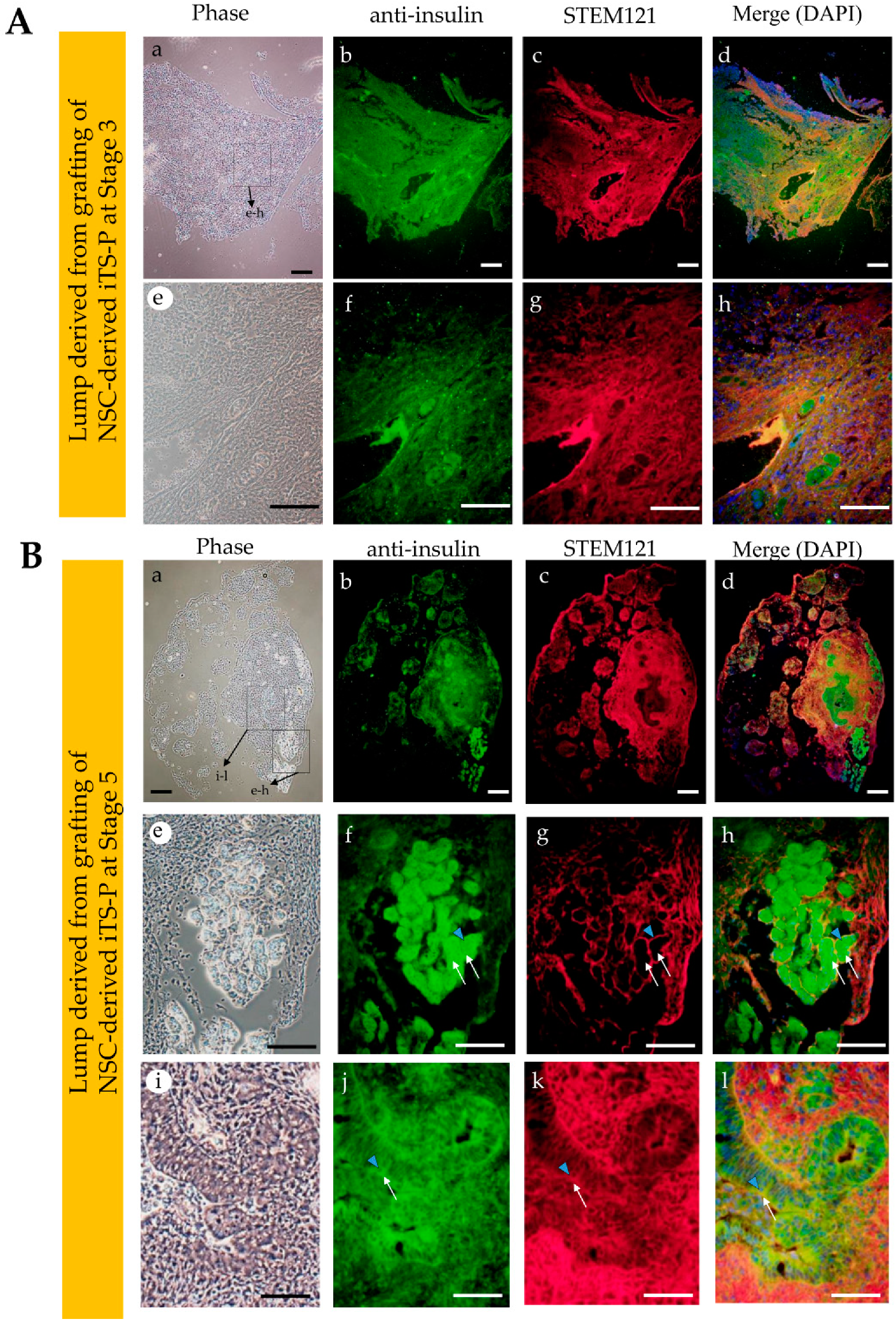 Jcm 09 02838 g005 Jcm 09 02838 g005
