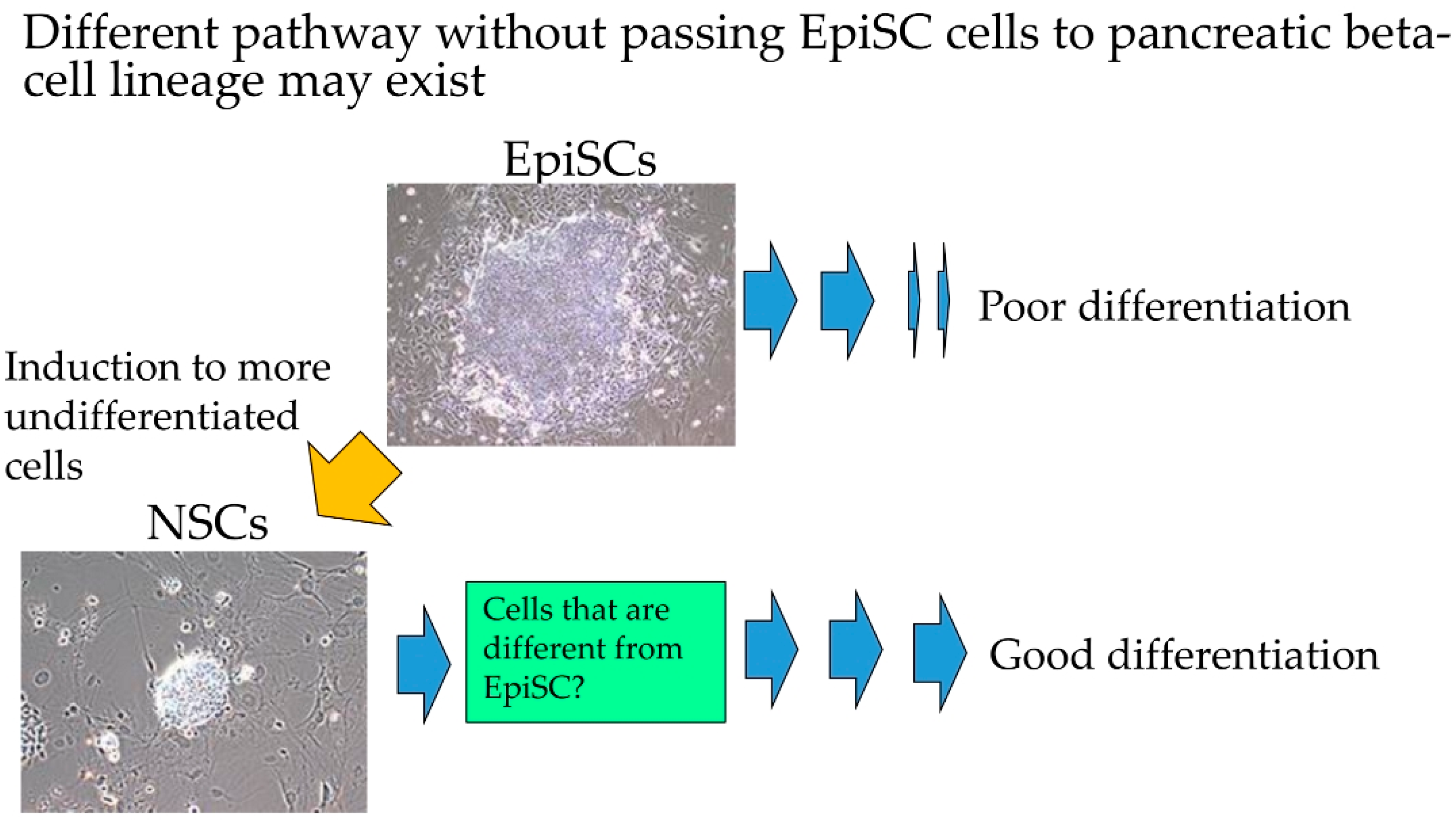 Jcm 09 02838 g007 Jcm 09 02838 g007