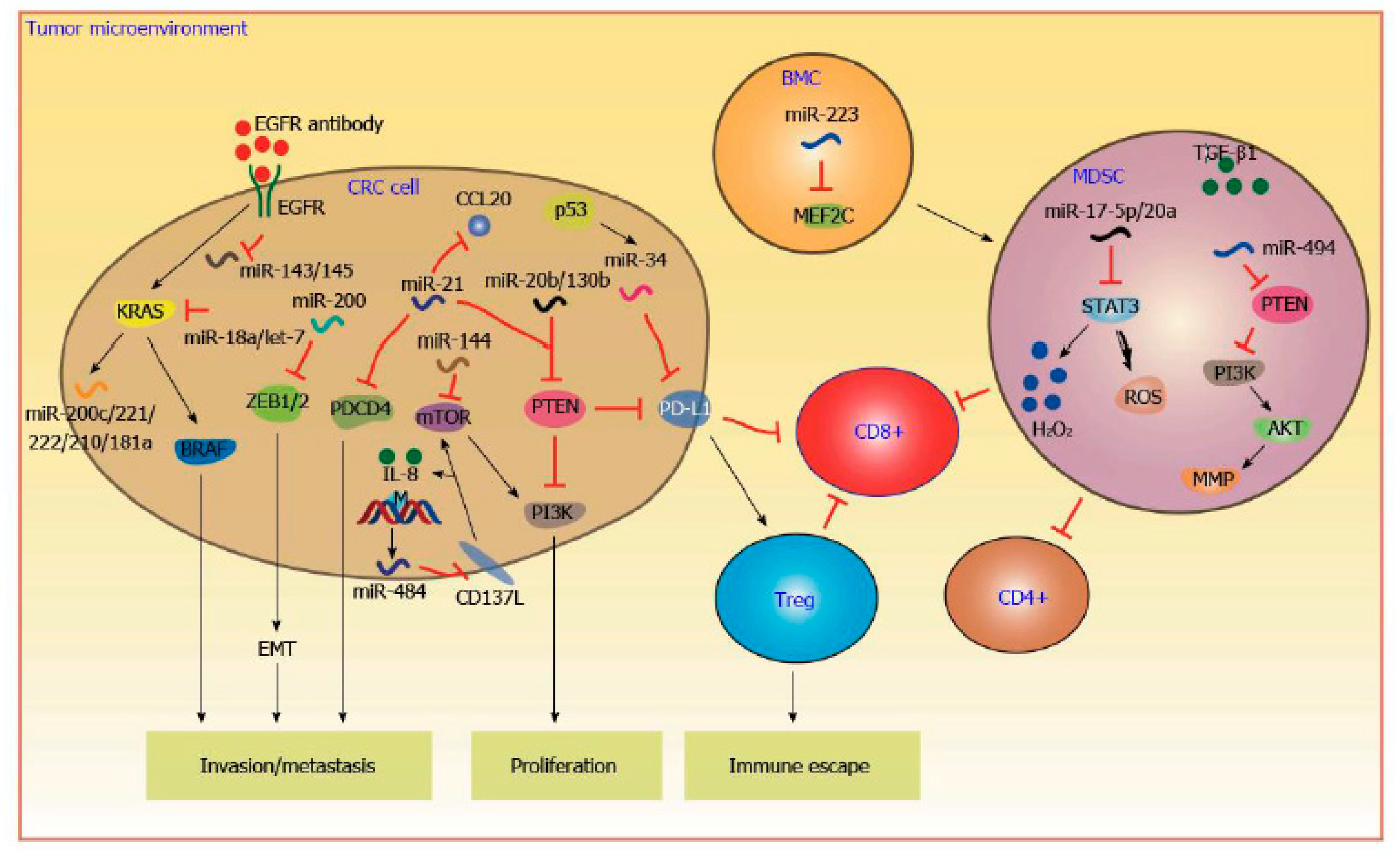 Jcm 09 02852 g003 Jcm 09 02852 g003