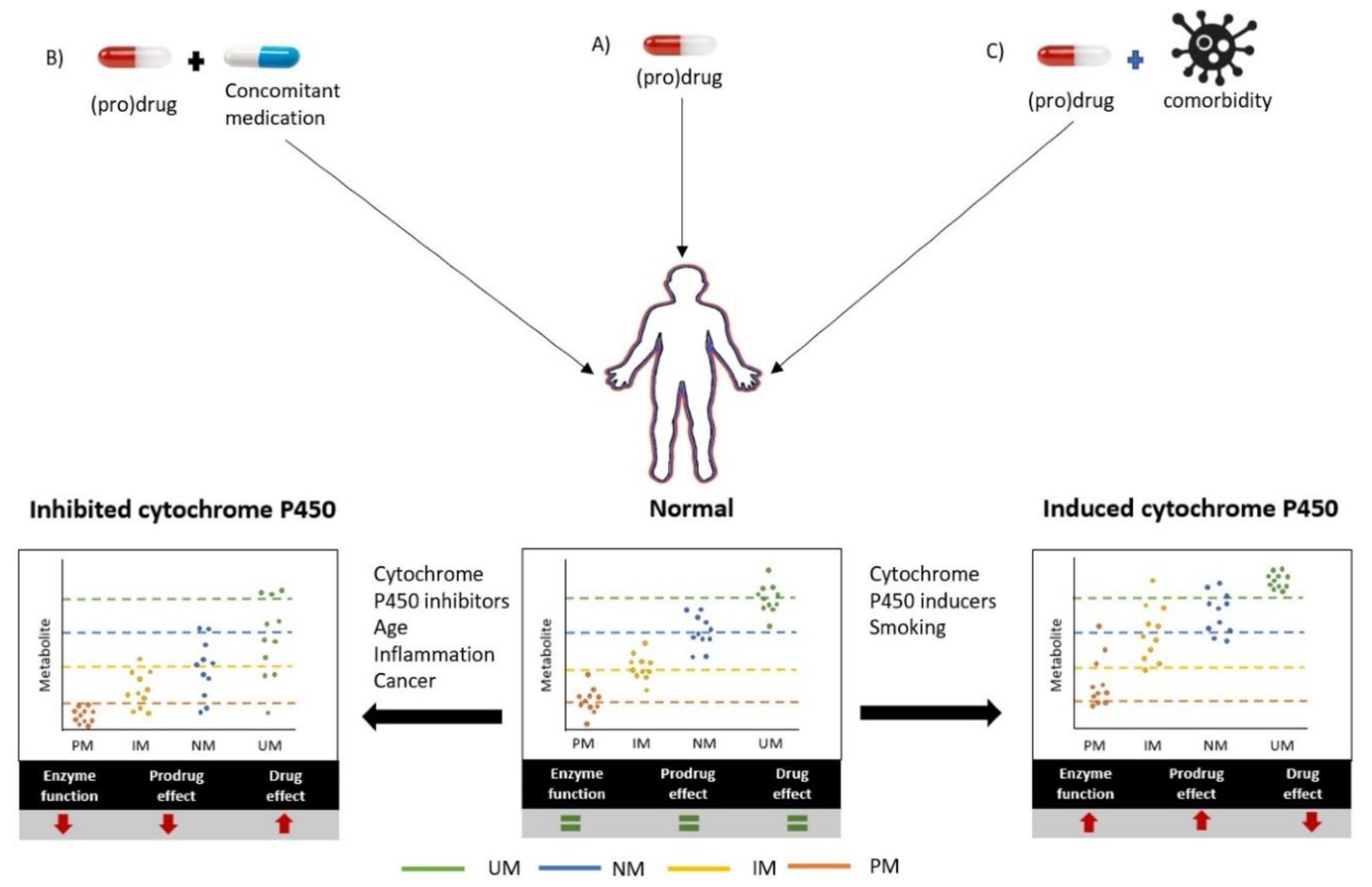Jcm 09 02890 g002 Jcm 09 02890 g002