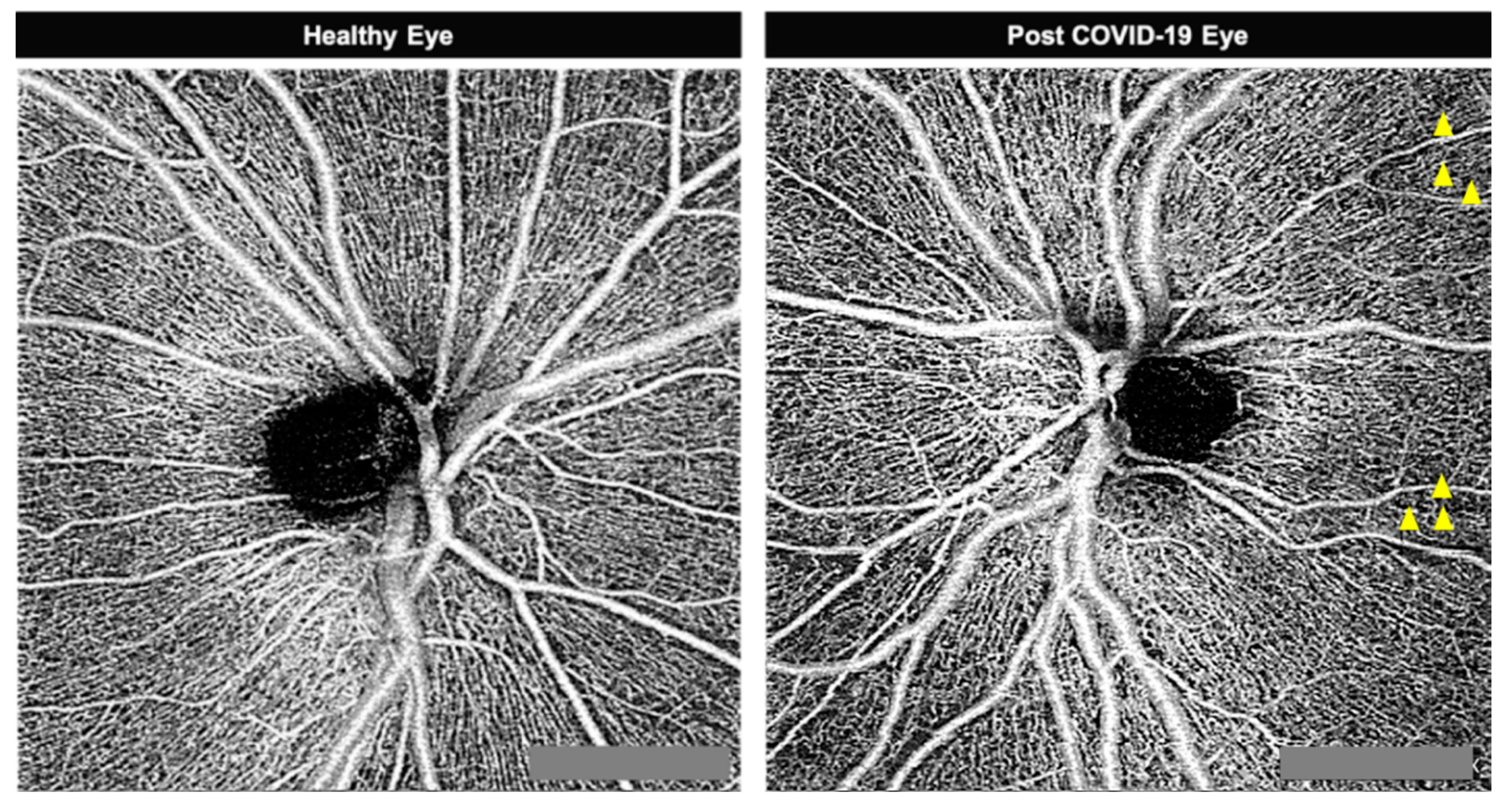 Jcm 09 02895 g001 Jcm 09 02895 g001