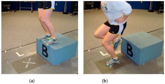JCM Free Full-Text Ground Reaction Forces Are Predicted with Functional and Clinical Tests in Healthy Collegiate Students photo