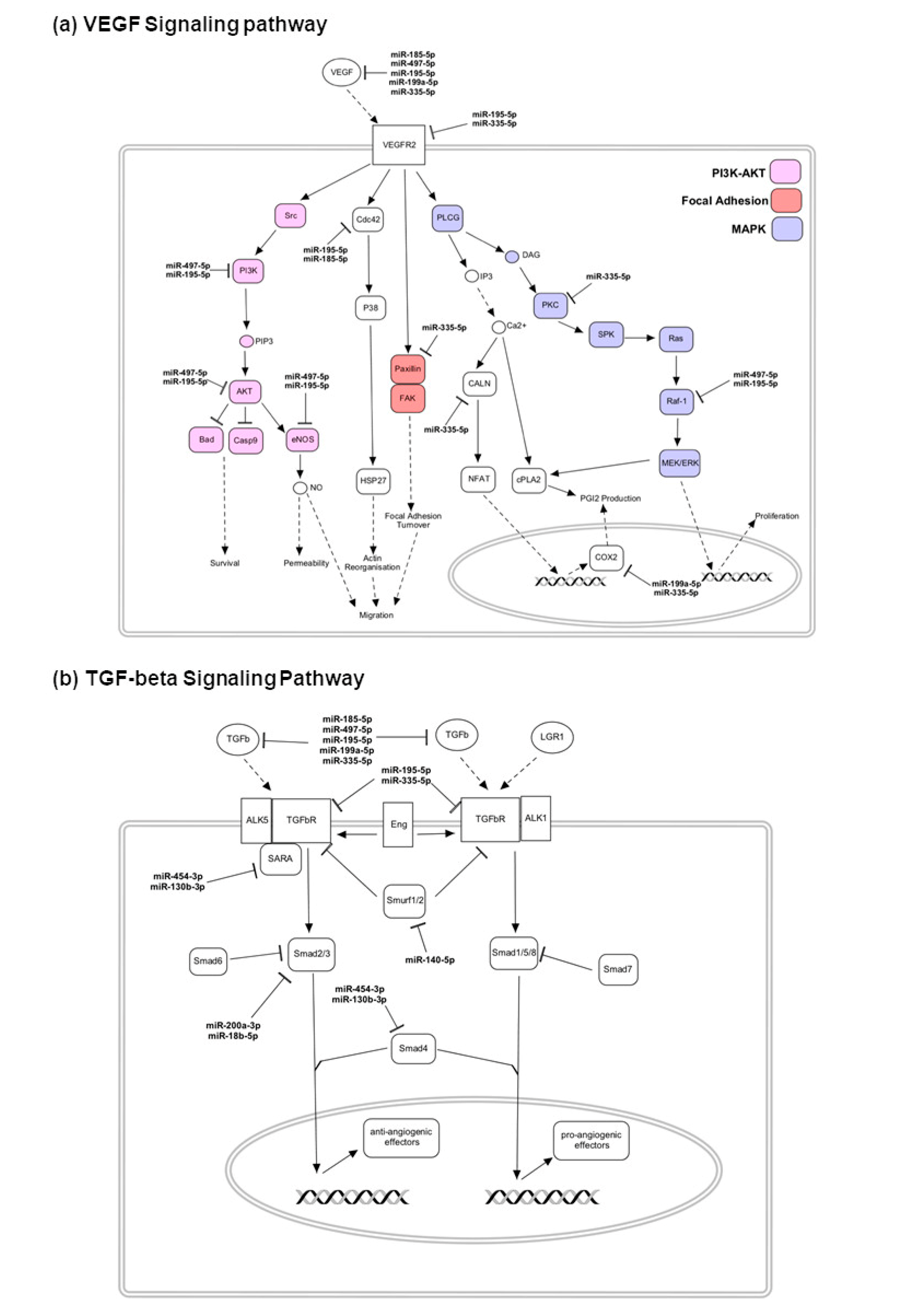 Jcm 09 02920 g006 Jcm 09 02920 g006