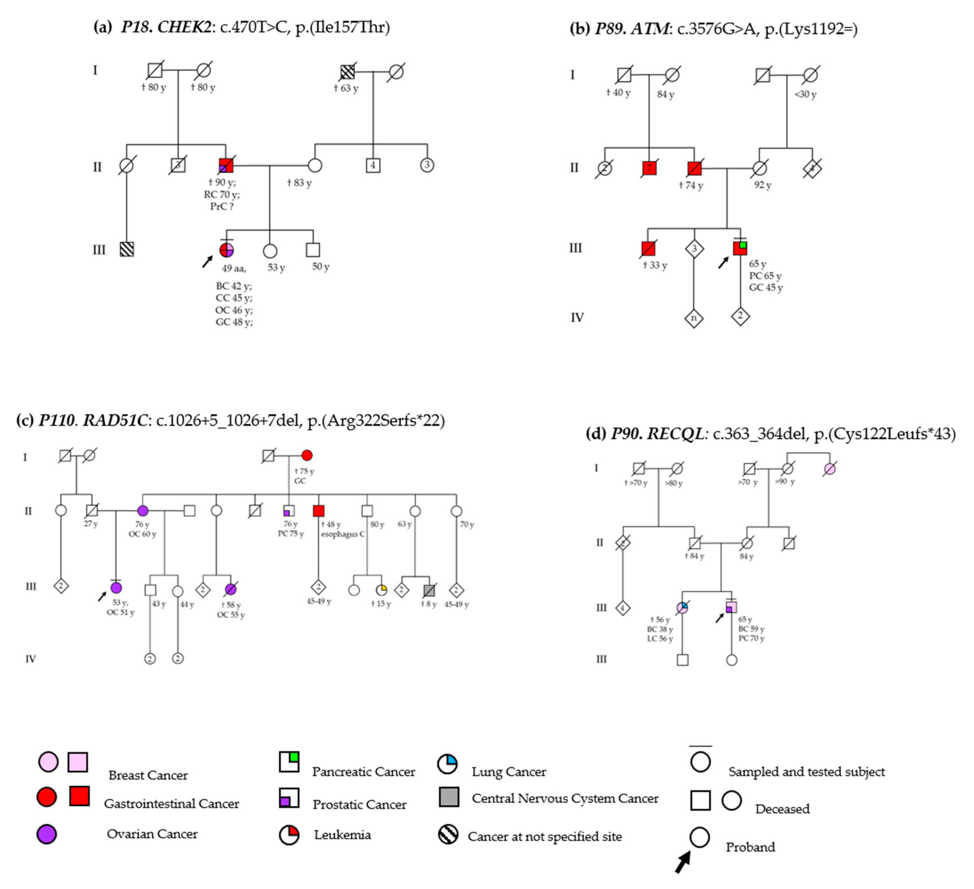 Jcm Free Full Text Beyond Brca1 And Brca2 Deleterious Variants In Dna Repair Pathway Genes In Italian Families With Breast Ovarian And Pancreatic Cancers Html Jcm Free Full Text Beyond Brca1 And Brca2 Deleterious Variants In Dna Repair Pathway Genes In Italian Families With Breast Ovarian And Pancreatic Cancers Html