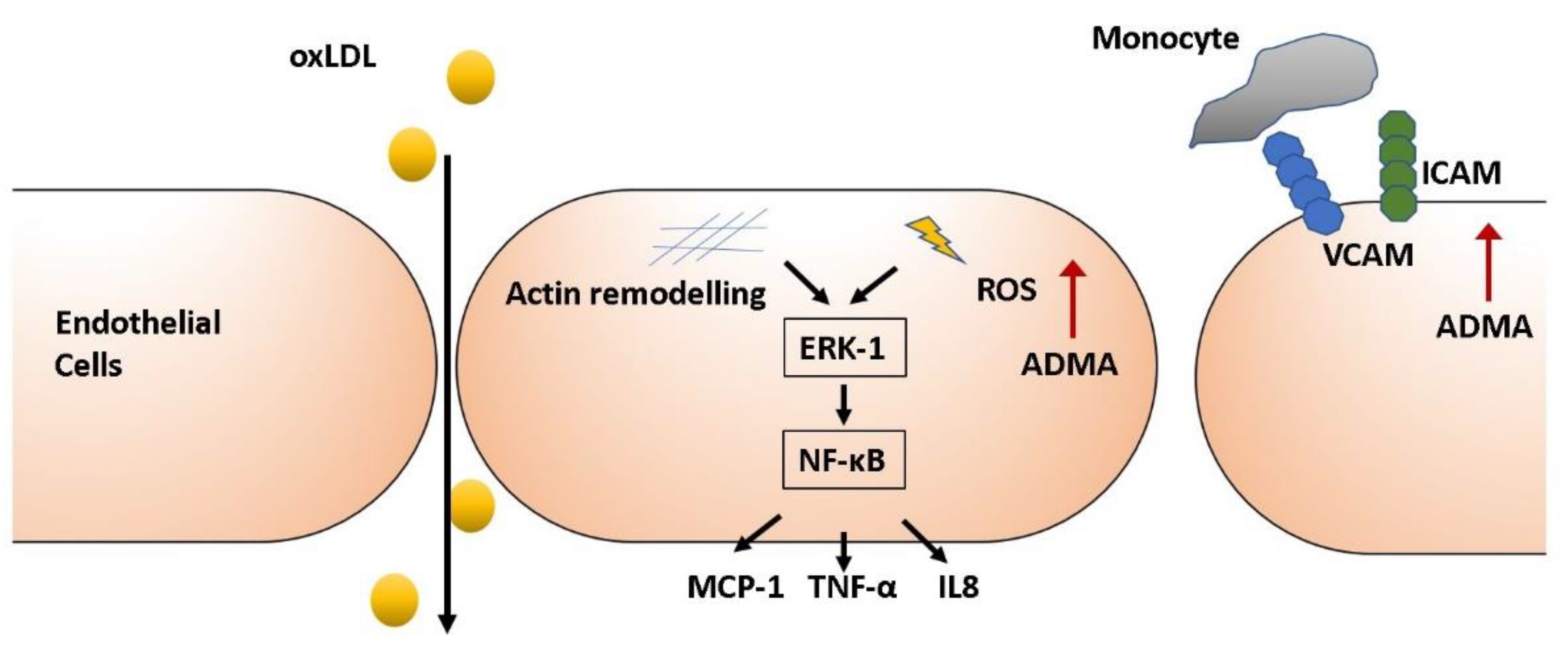 Jcm 09 03026 g001 Jcm 09 03026 g001