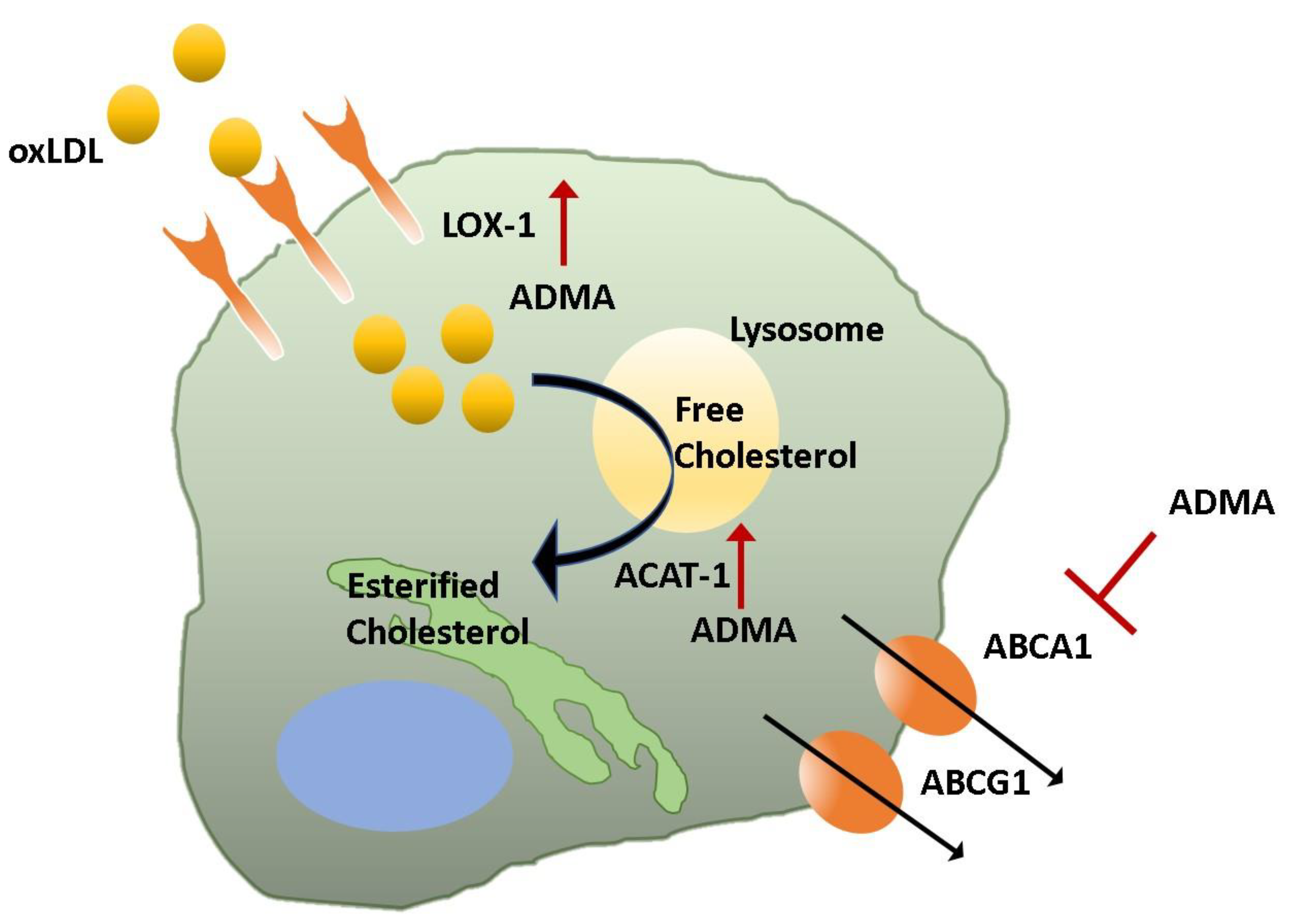 Jcm 09 03026 g002 Jcm 09 03026 g002