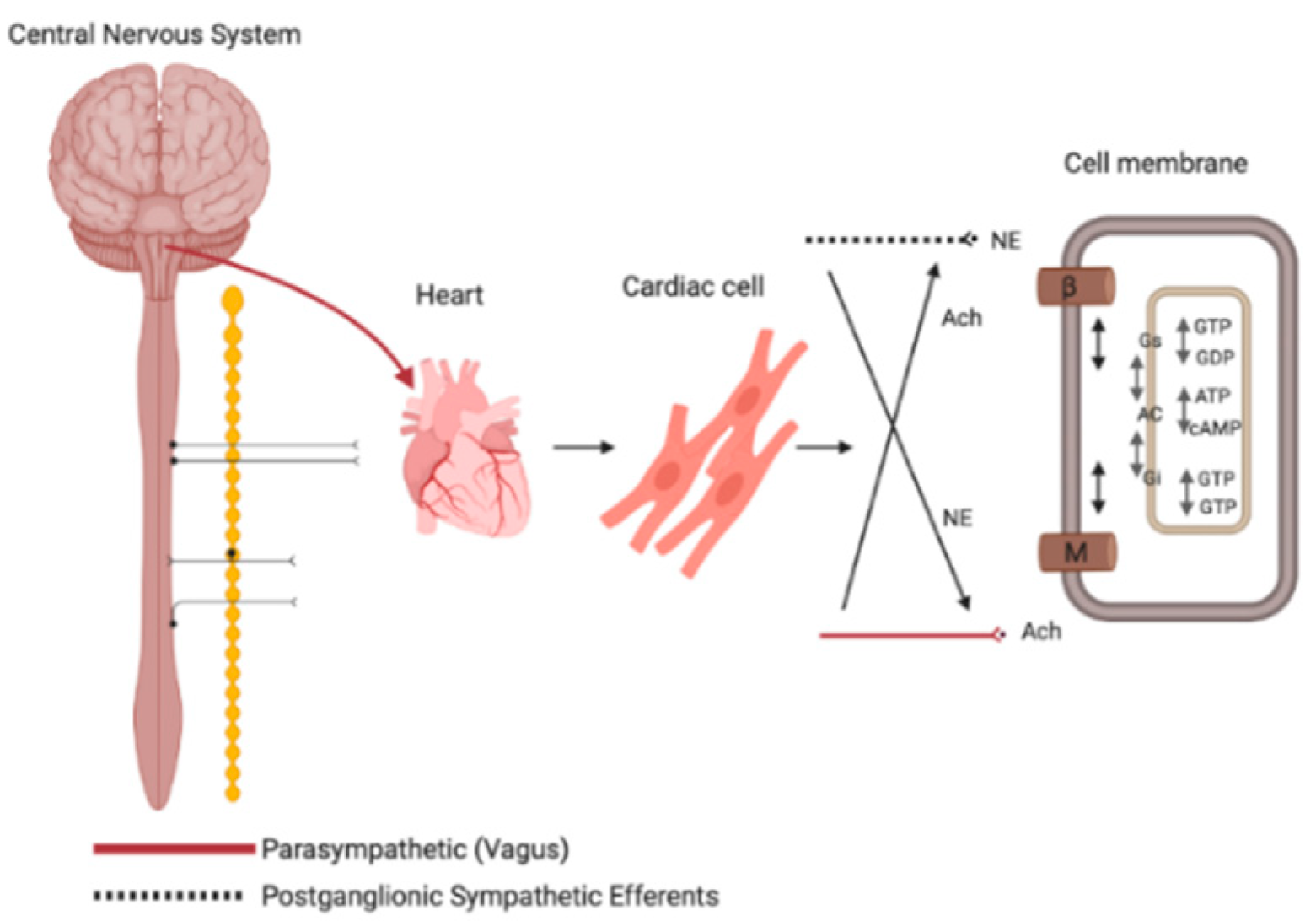 Jcm 09 03081 g001 Jcm 09 03081 g001