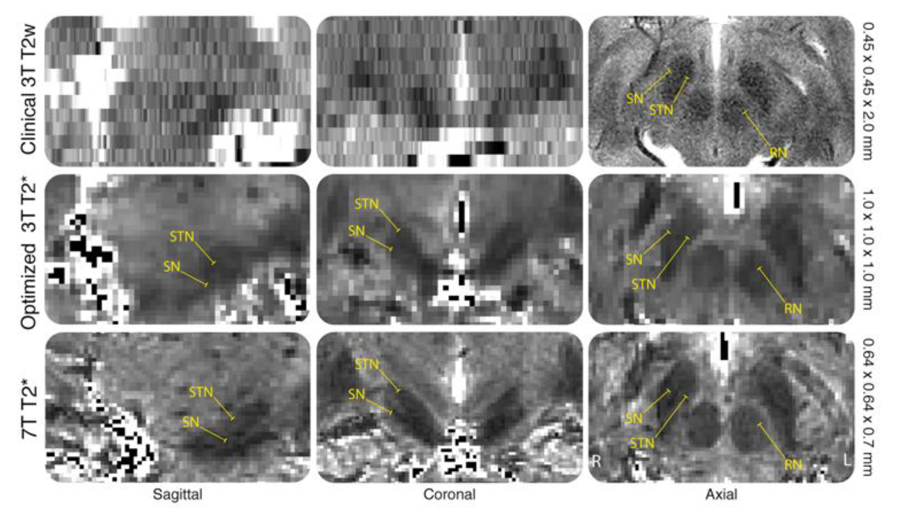 Jcm 09 03124 g003 Jcm 09 03124 g003