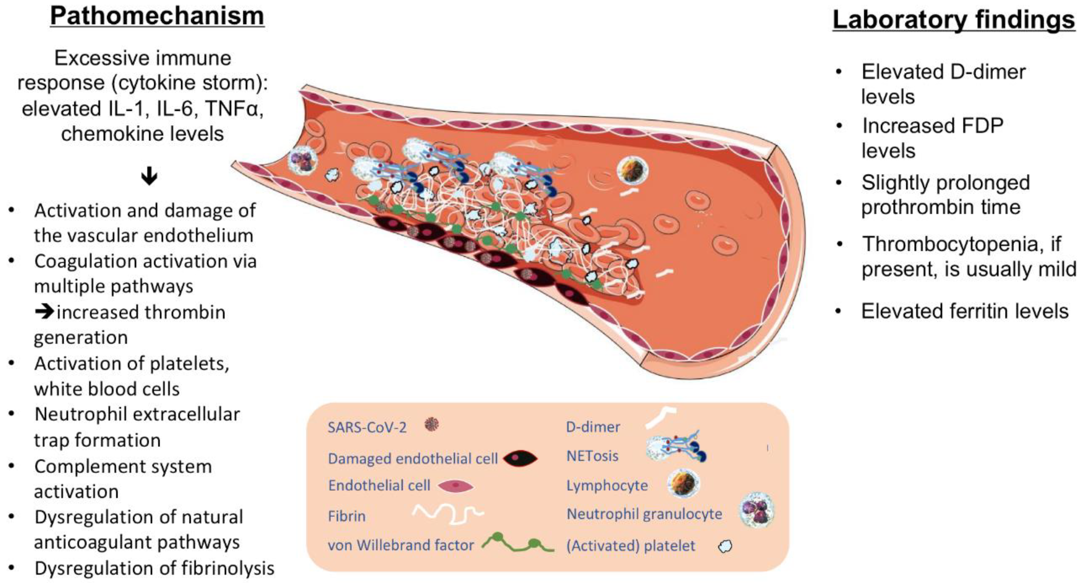 Cardio-Coagulation: 循環器における抗凝固療法 (Vol.6 No.1(2019.3)) Management of Anticoagulation during Extracorporeal Membrane