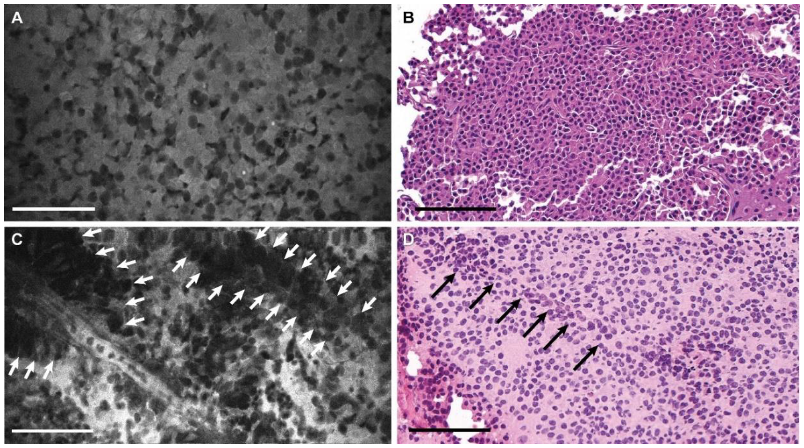 Jcm 09 03146 g002 Jcm 09 03146 g002