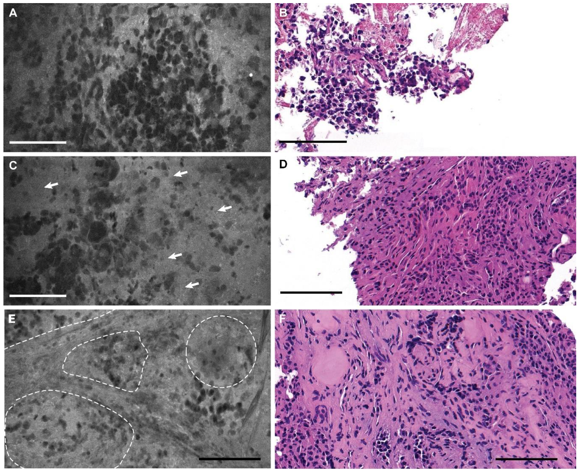 Jcm 09 03146 g005 Jcm 09 03146 g005