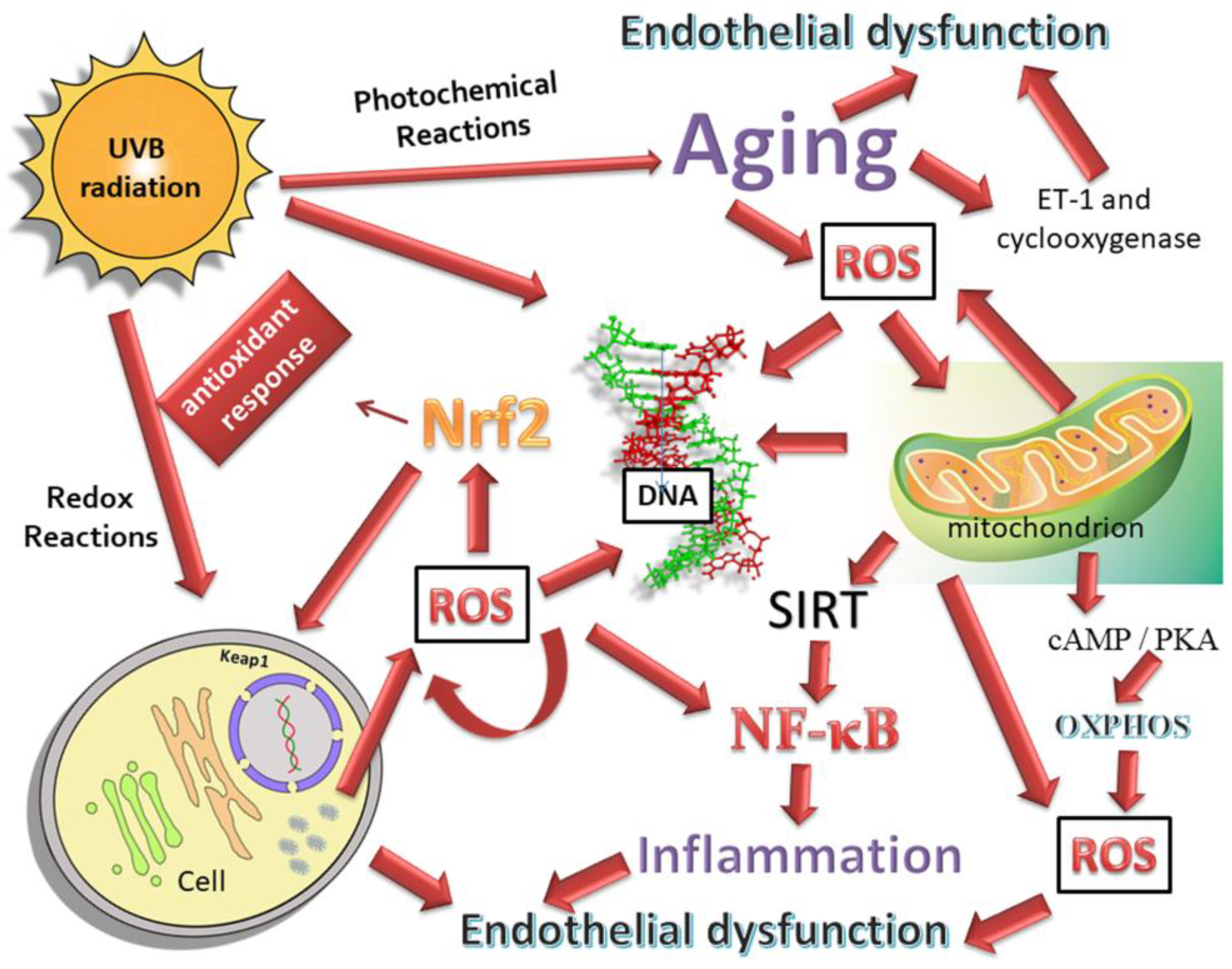 Jcm 09 03172 g002 Jcm 09 03172 g002