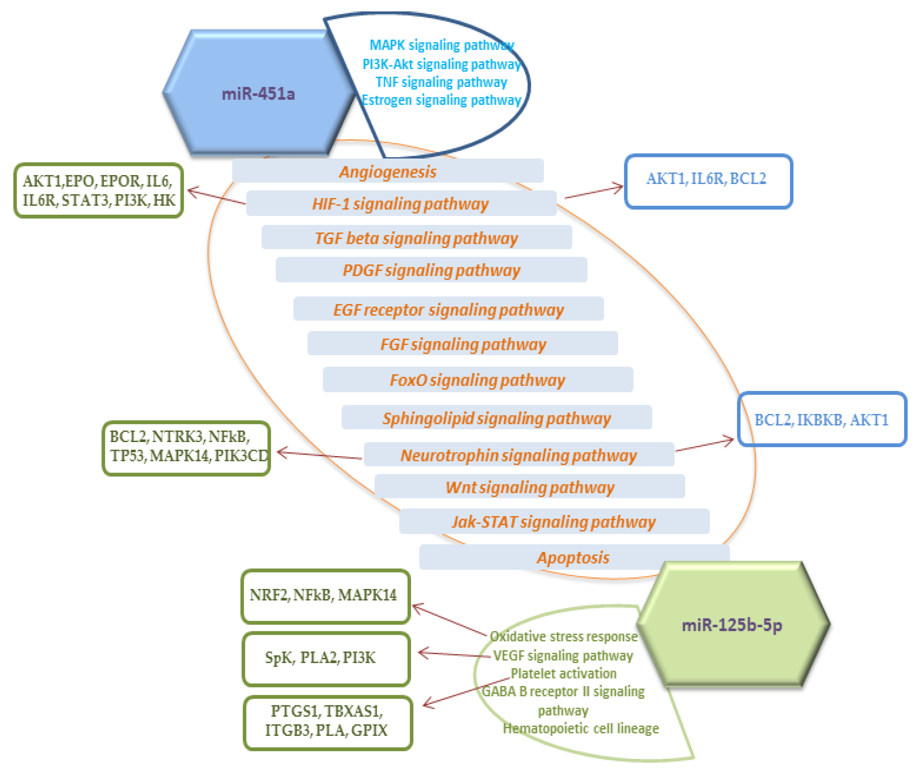 Jcm 09 03227 g004 Jcm 09 03227 g004