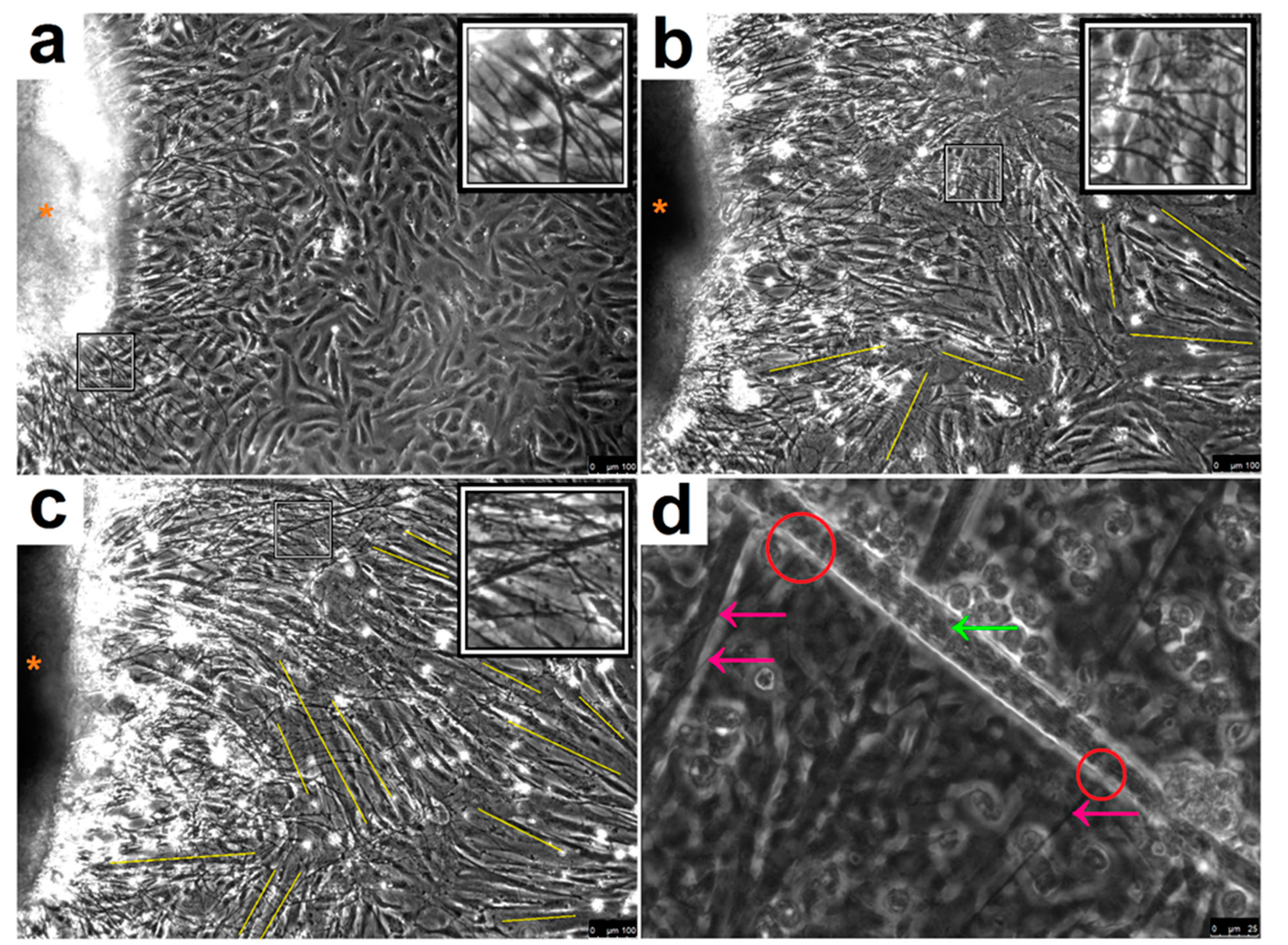 Jcm 09 03238 g001 Jcm 09 03238 g001