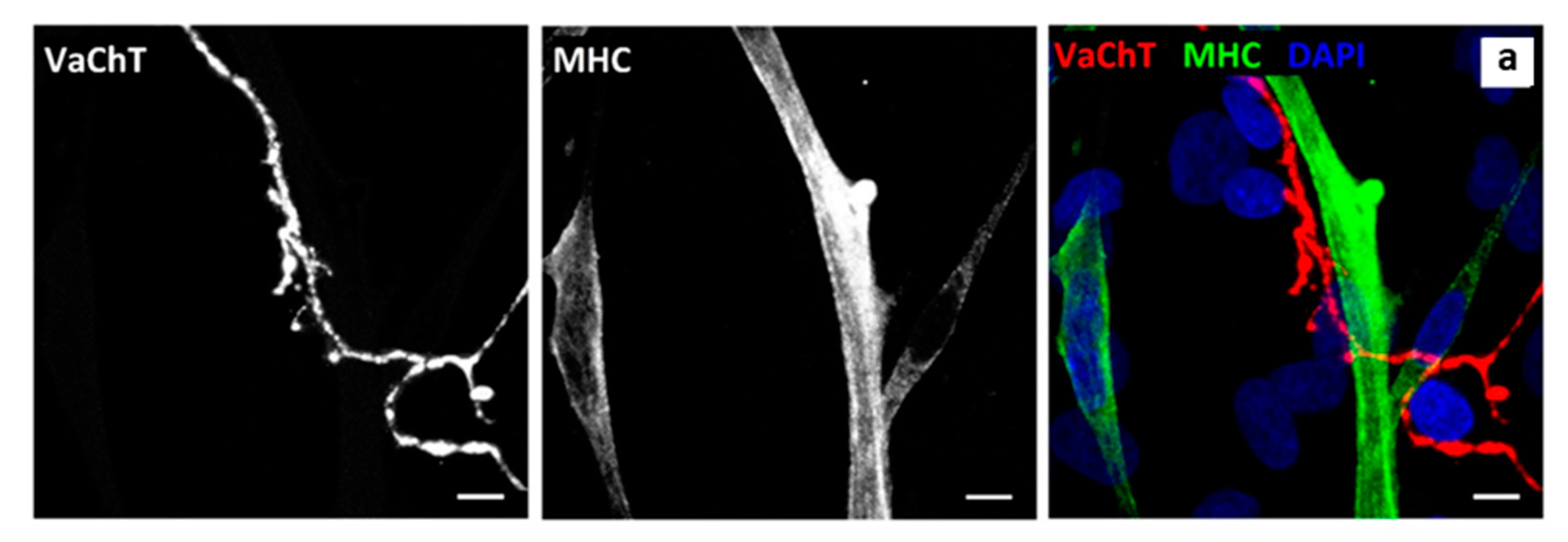 Jcm 09 03238 g002 Jcm 09 03238 g002