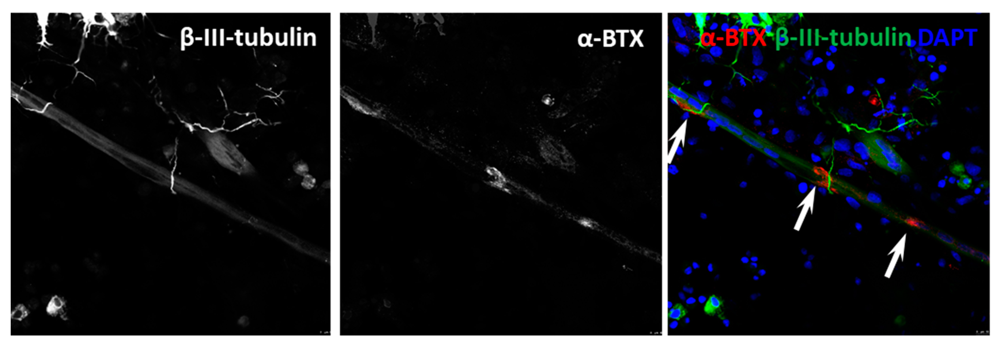 Jcm 09 03238 g004 Jcm 09 03238 g004