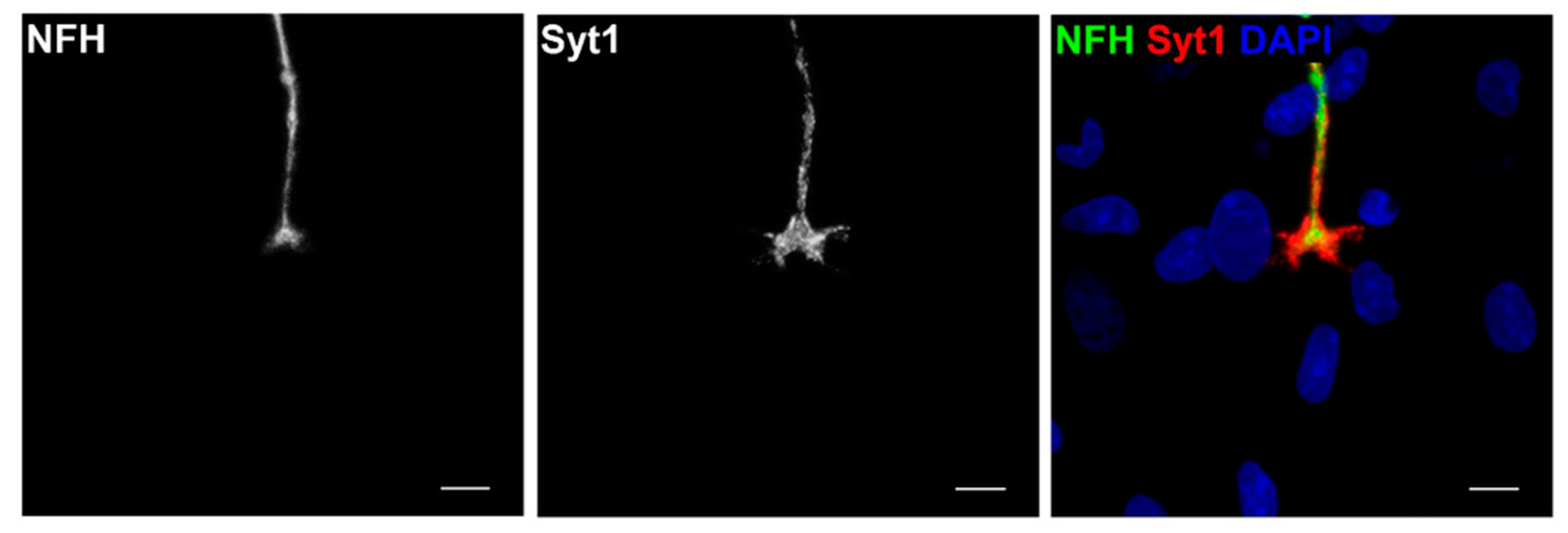 Jcm 09 03238 g005 Jcm 09 03238 g005