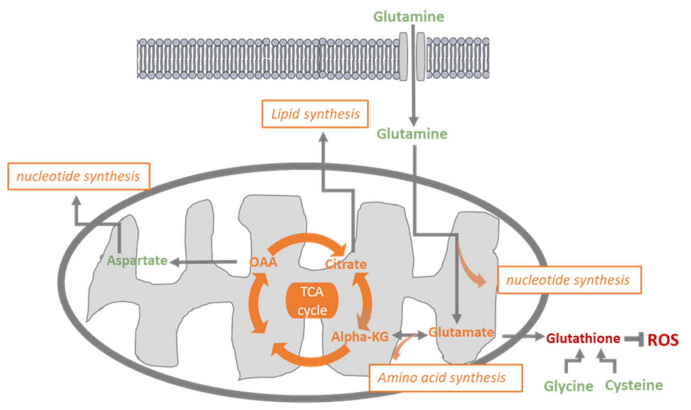 Jcm 09 03308 g006 Jcm 09 03308 g006