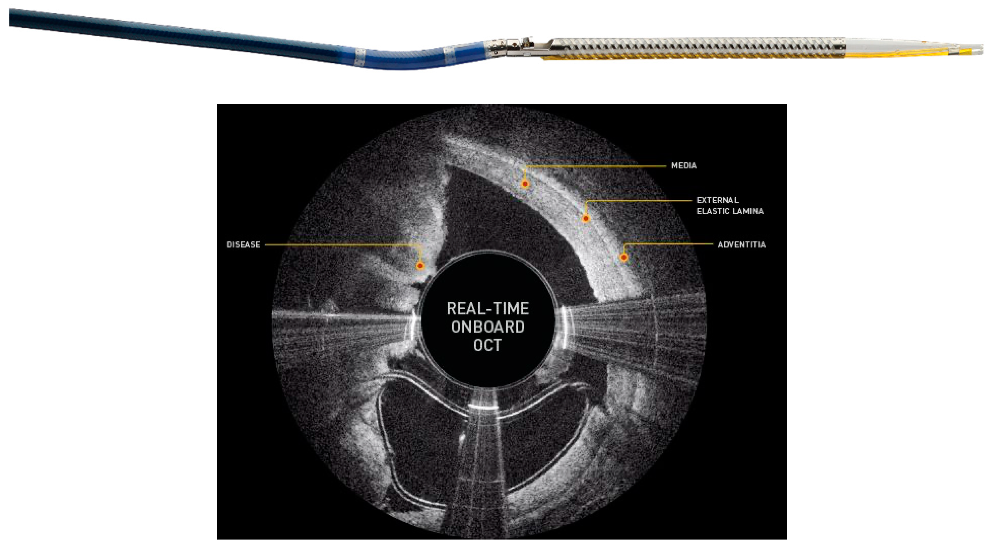 Jcm 09 03321 g007 Jcm 09 03321 g007