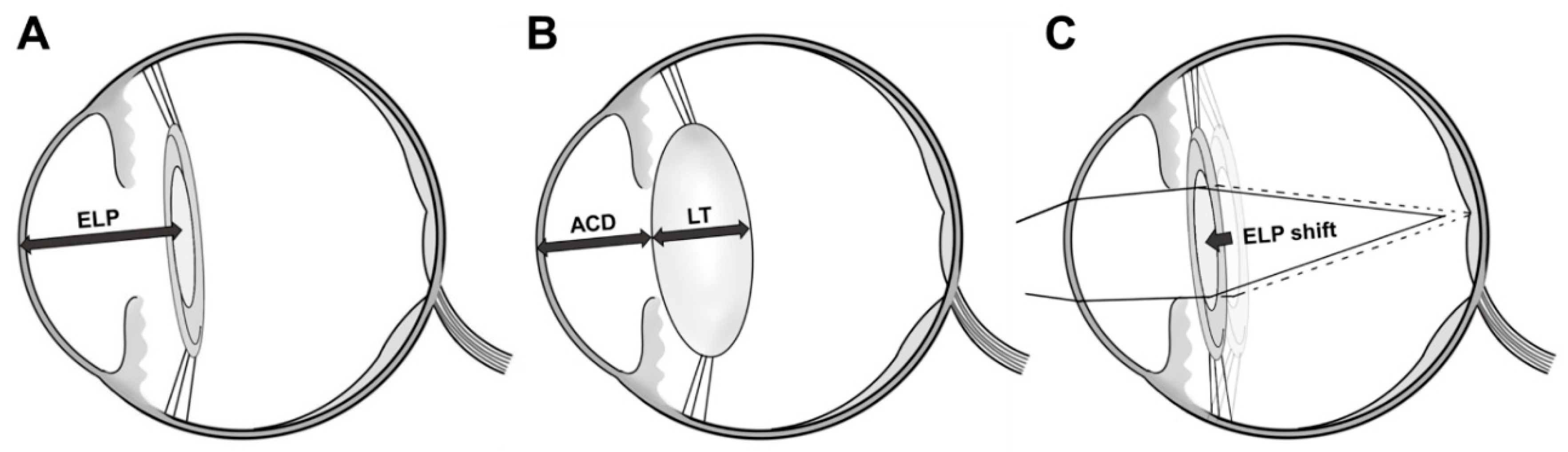 Jcm 09 03493 g003 Jcm 09 03493 g003