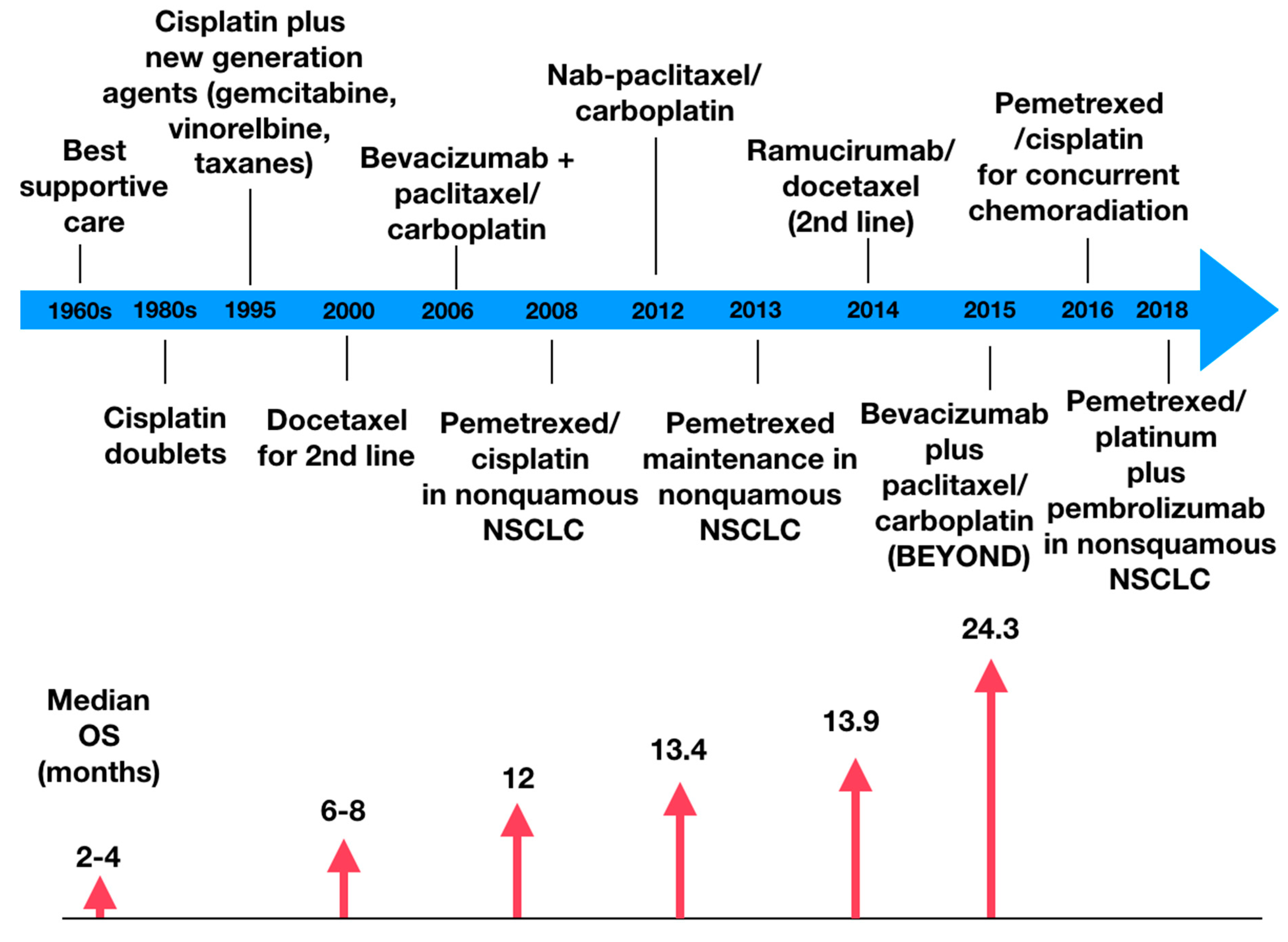 mesothelioma immune system