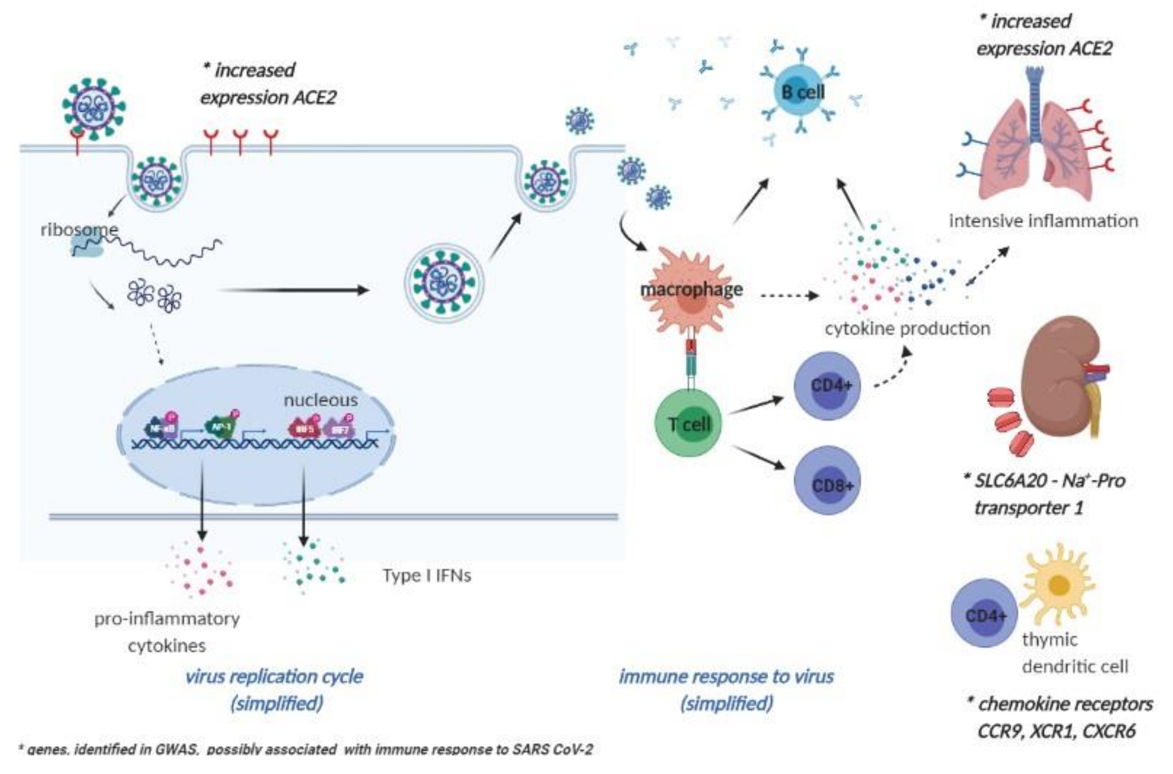 Jcm 09 03561 g001 Jcm 09 03561 g001