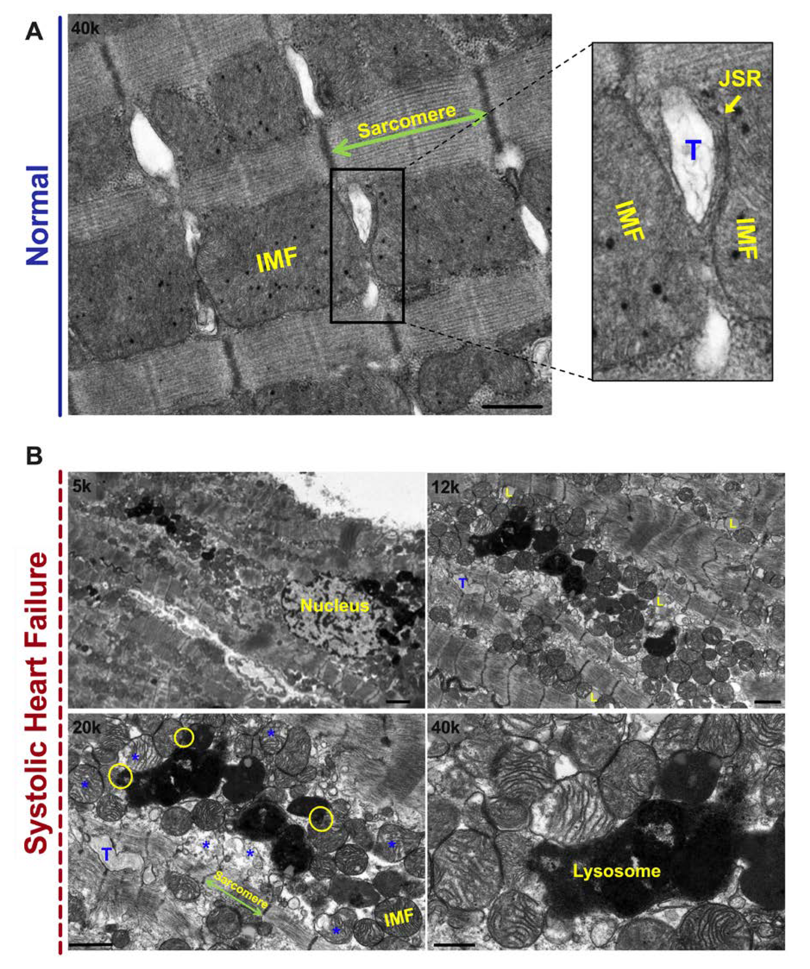 Jcm 09 03582 g001 Jcm 09 03582 g001