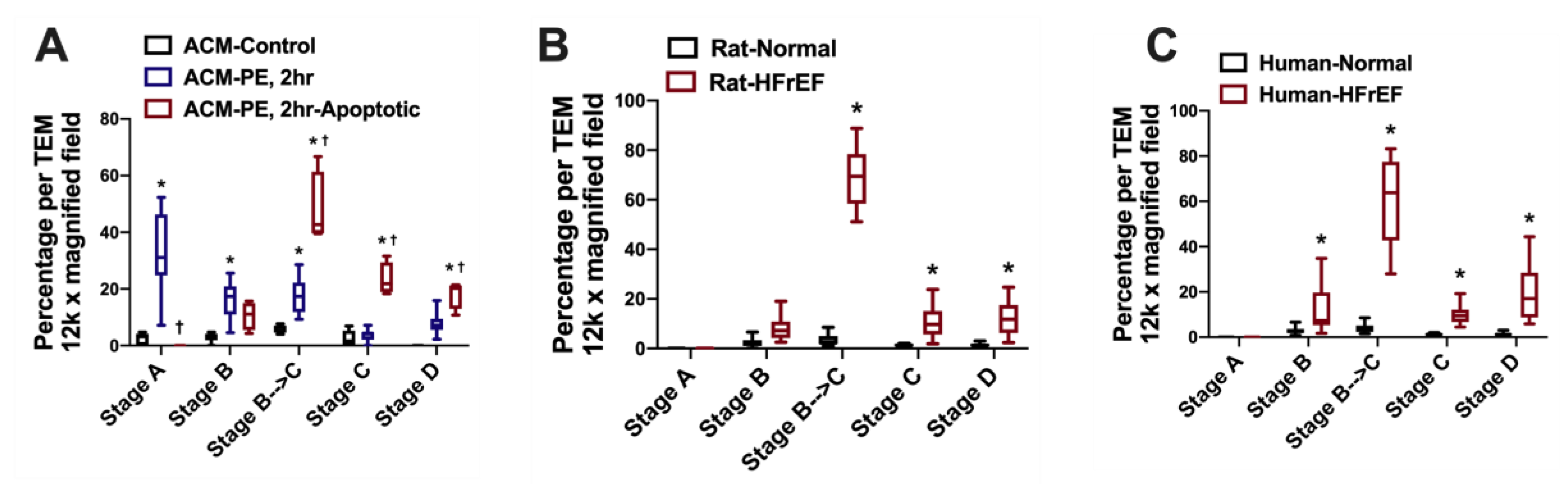 Jcm 09 03582 g003 Jcm 09 03582 g003