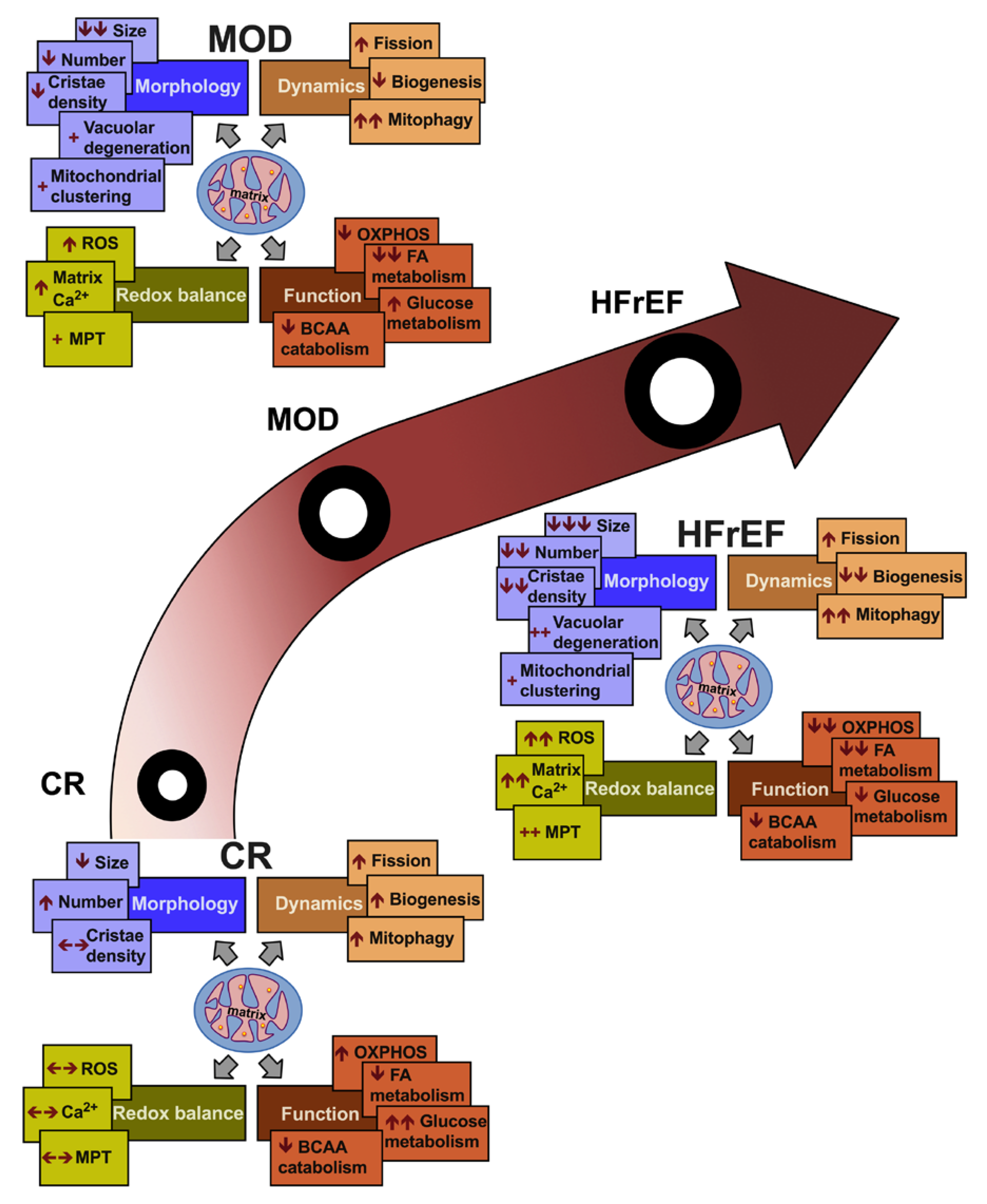 Jcm 09 03582 g004 Jcm 09 03582 g004