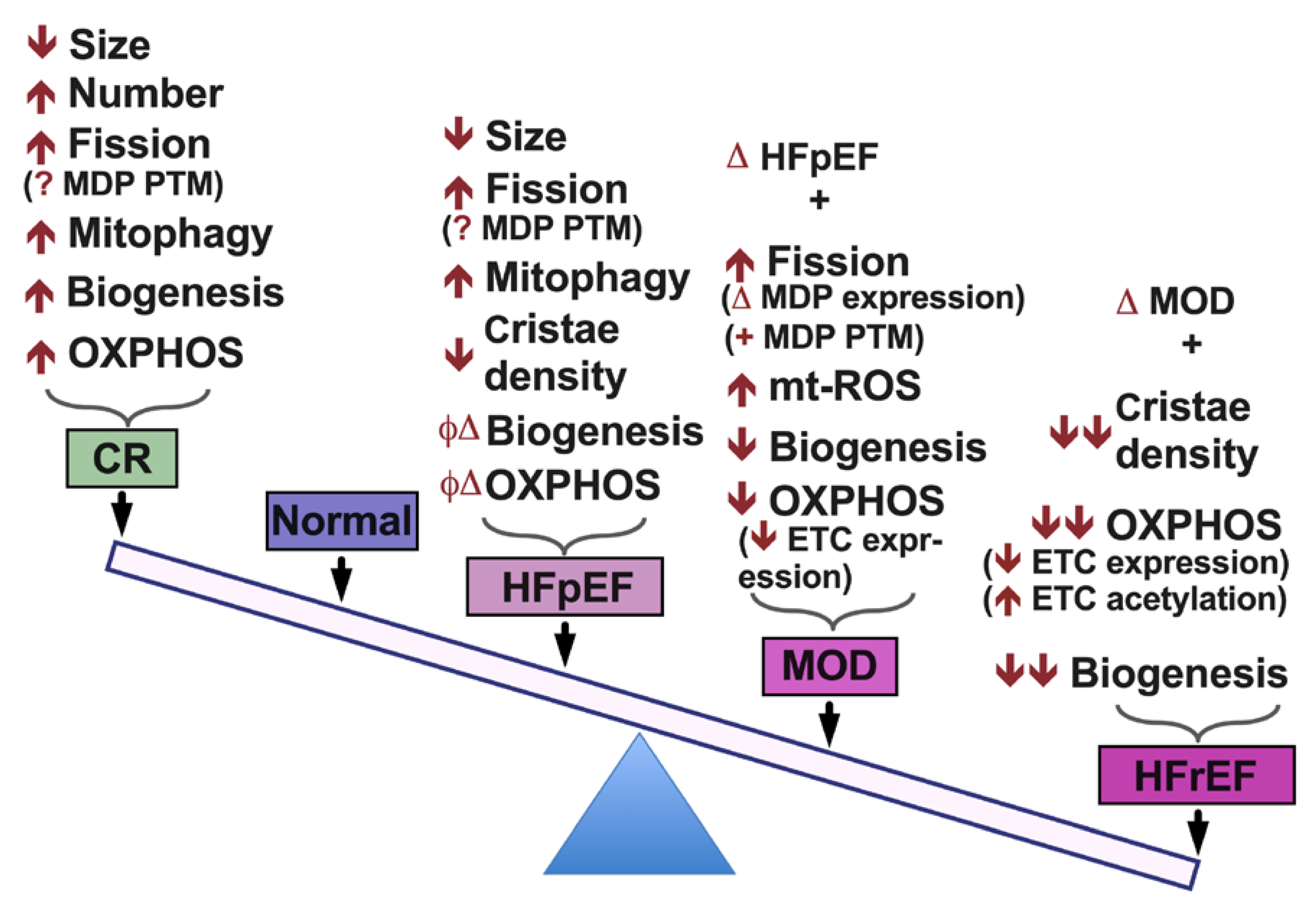 Jcm 09 03582 g005 Jcm 09 03582 g005