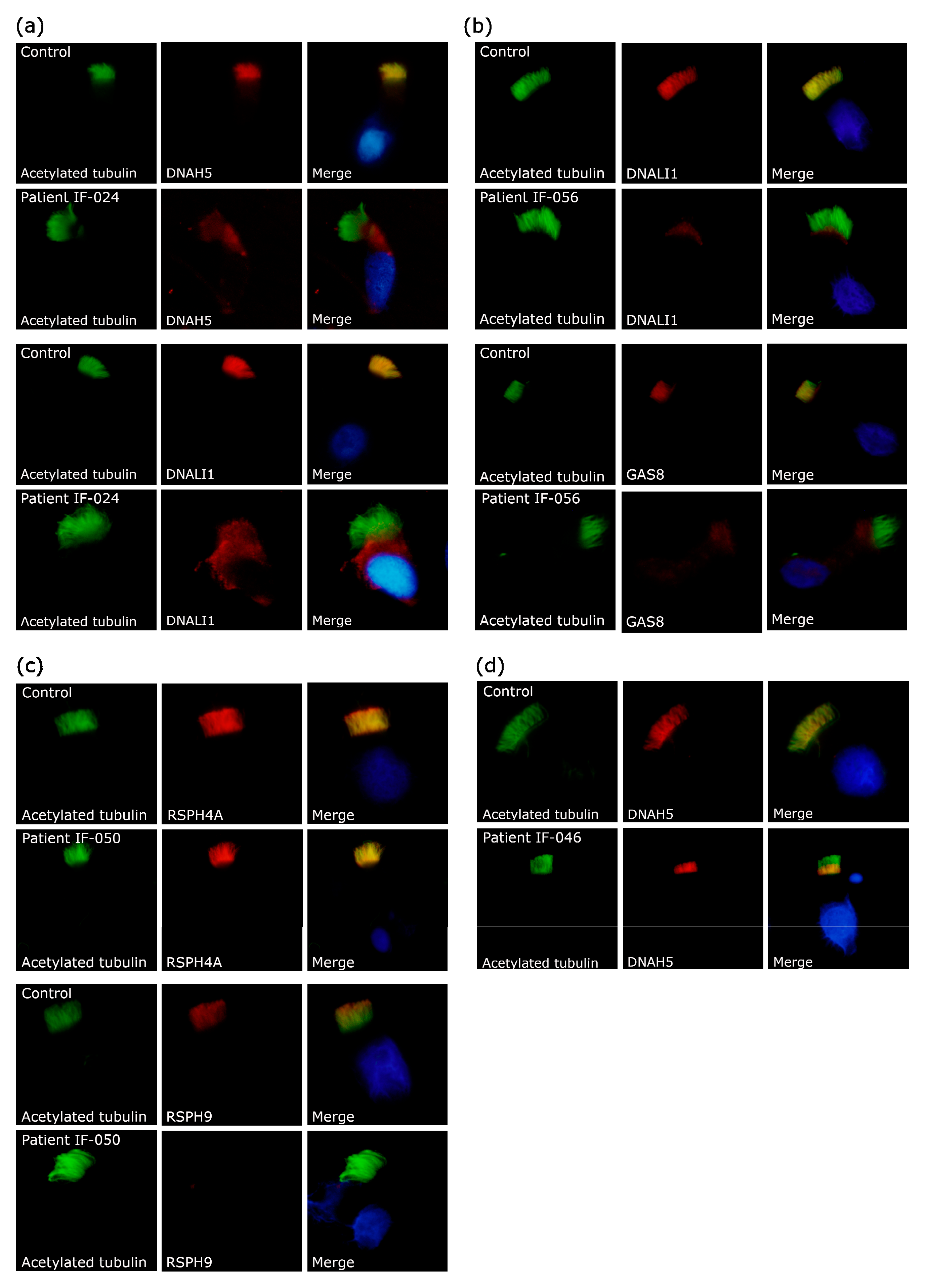 Jcm 09 03603 g002 Jcm 09 03603 g002